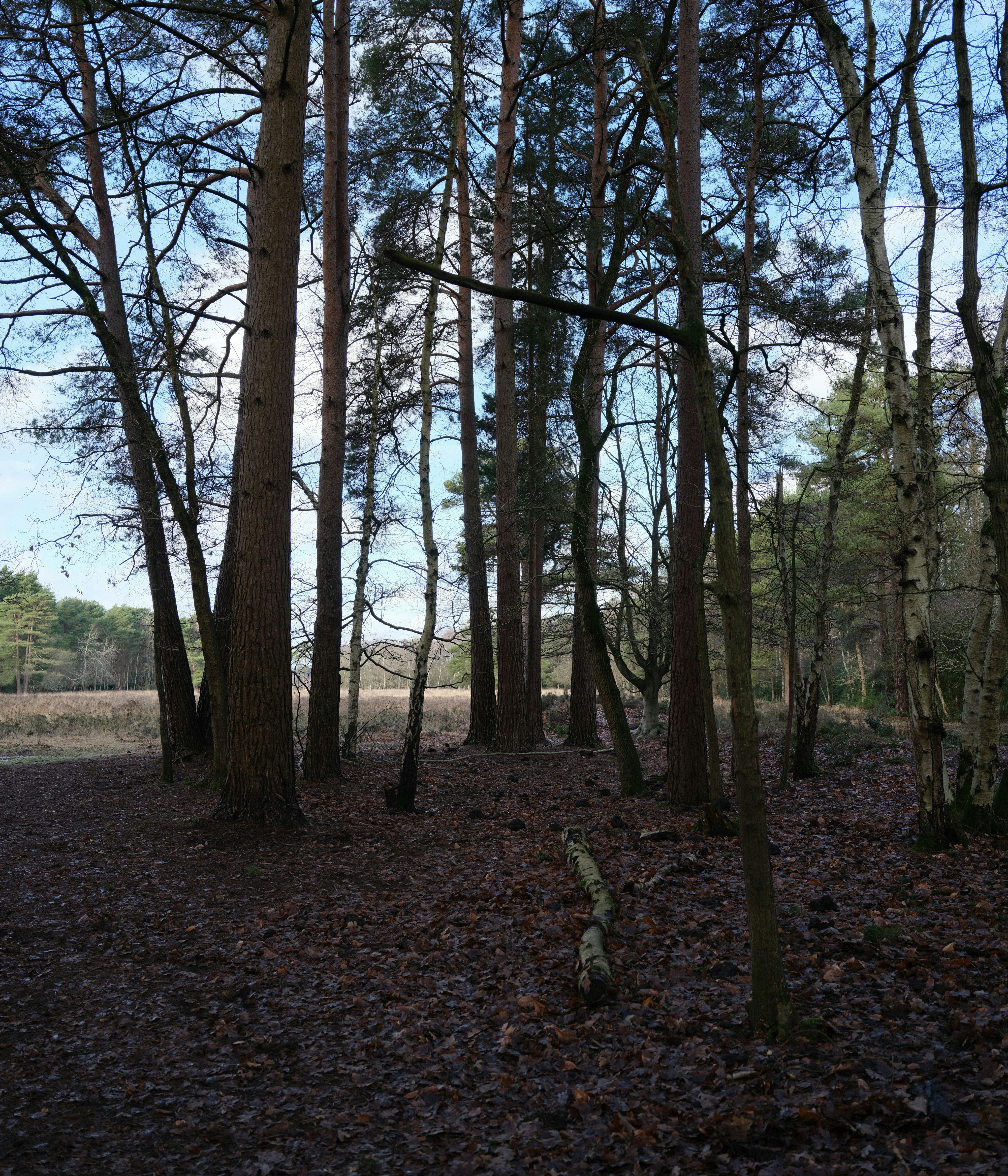 Photo by tanyabarrow