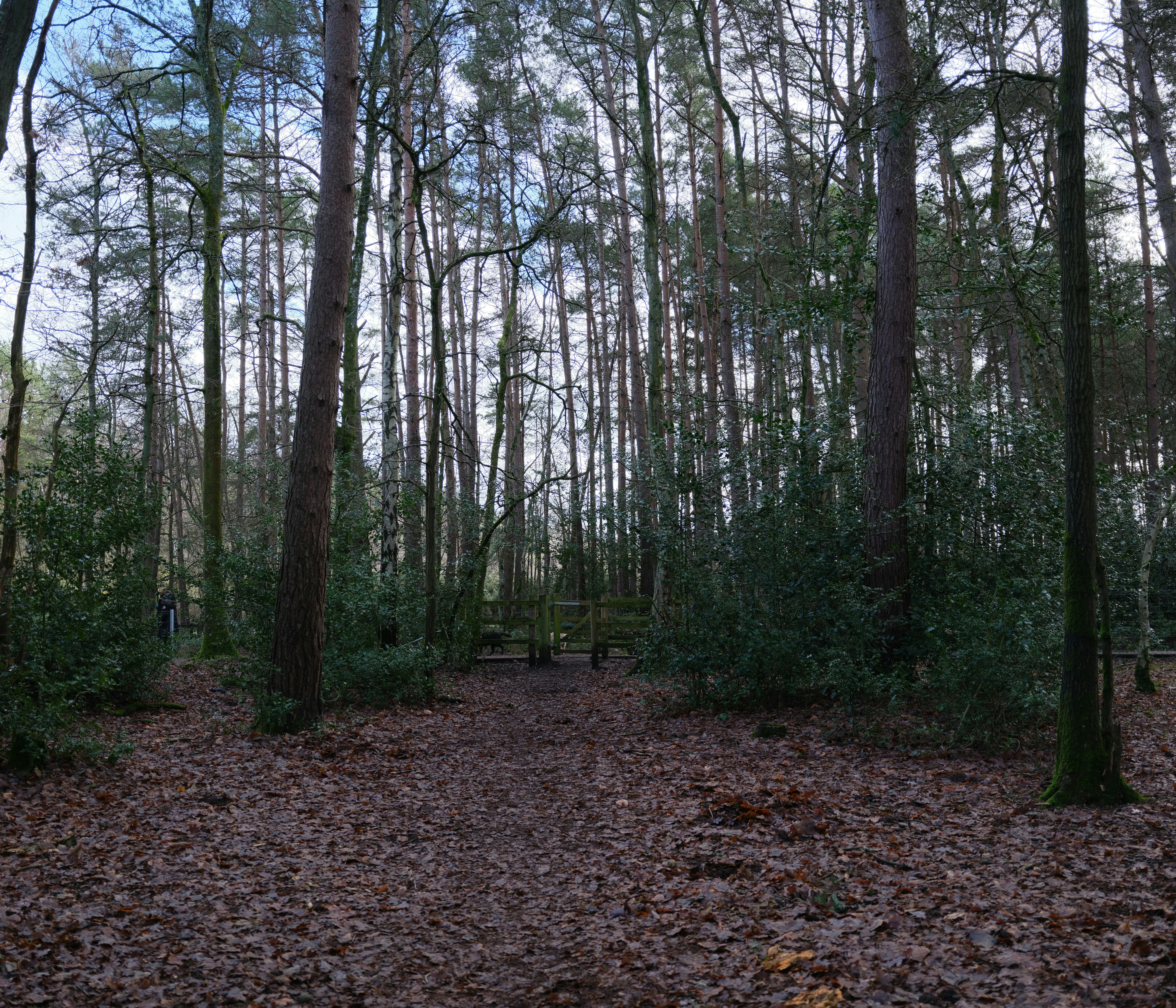 Photo by tanyabarrow