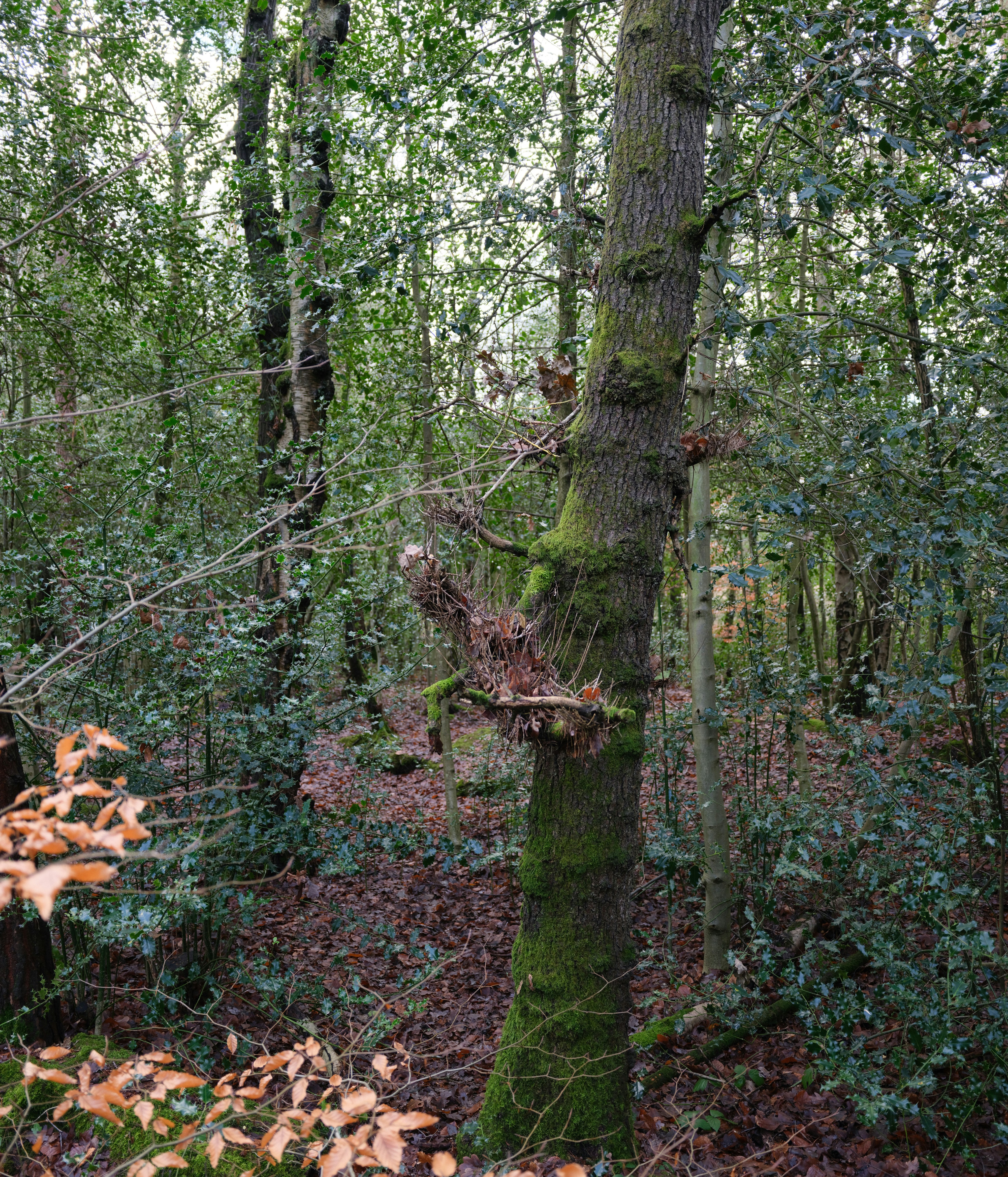 Photo by tanyabarrow