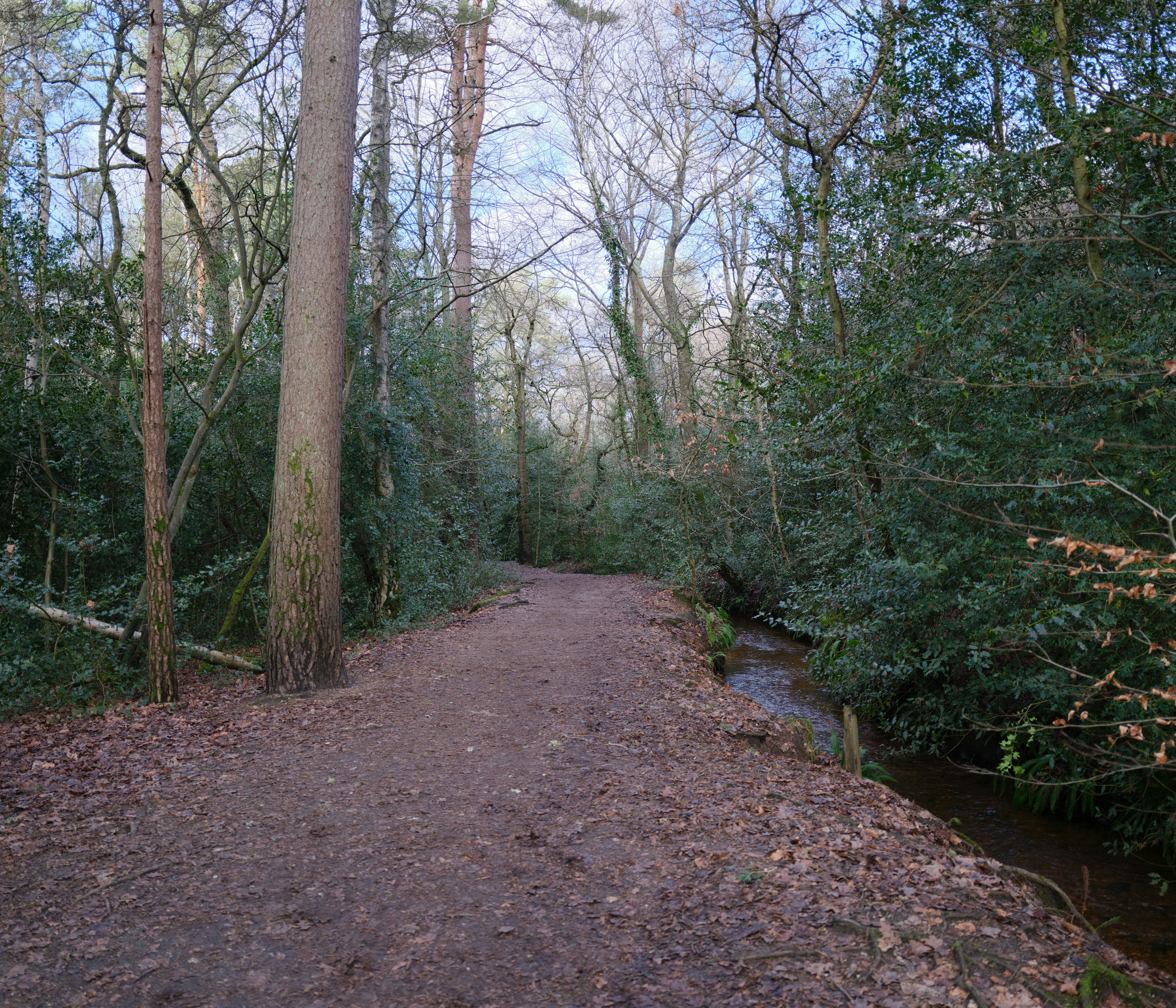 Photo by tanyabarrow