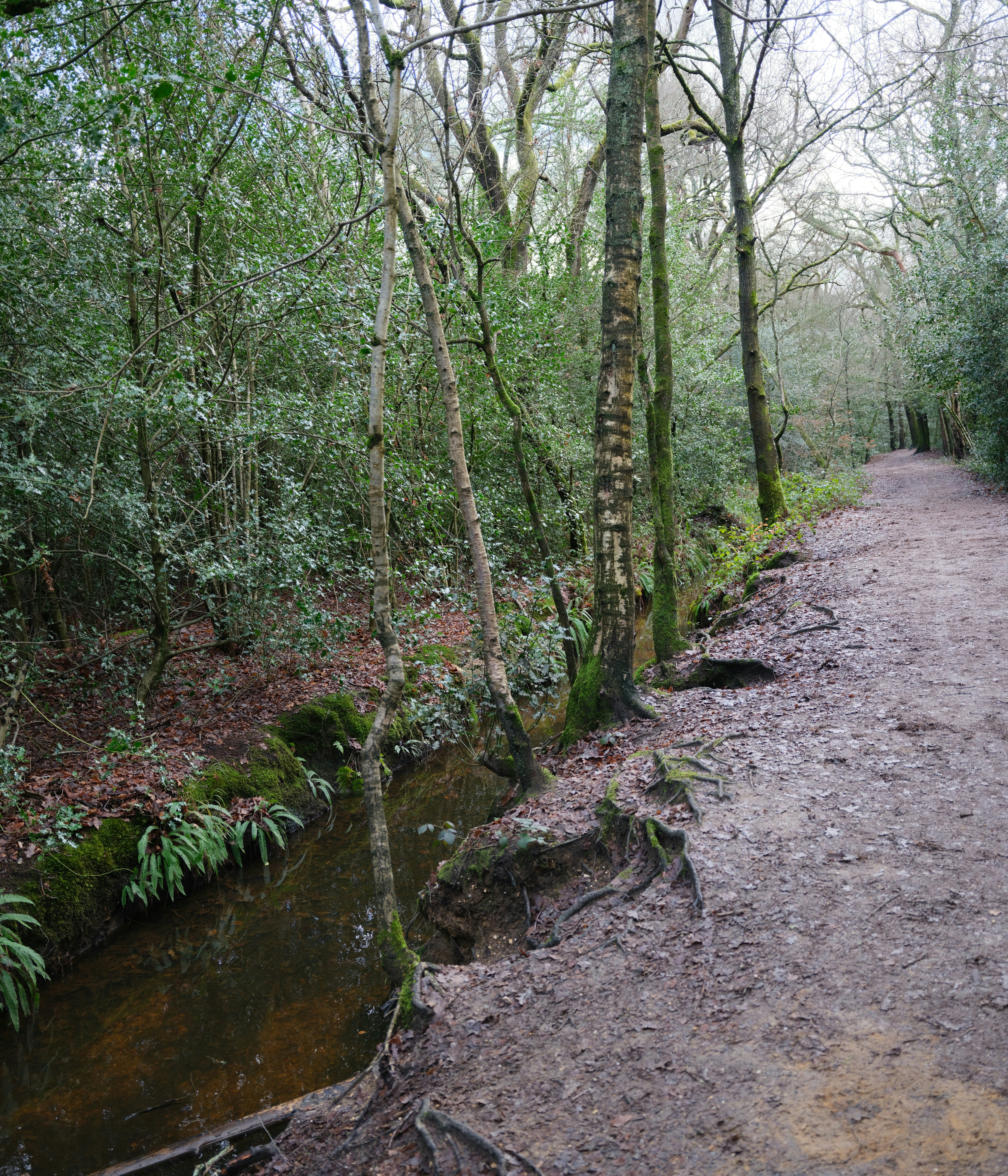 Photo by tanyabarrow