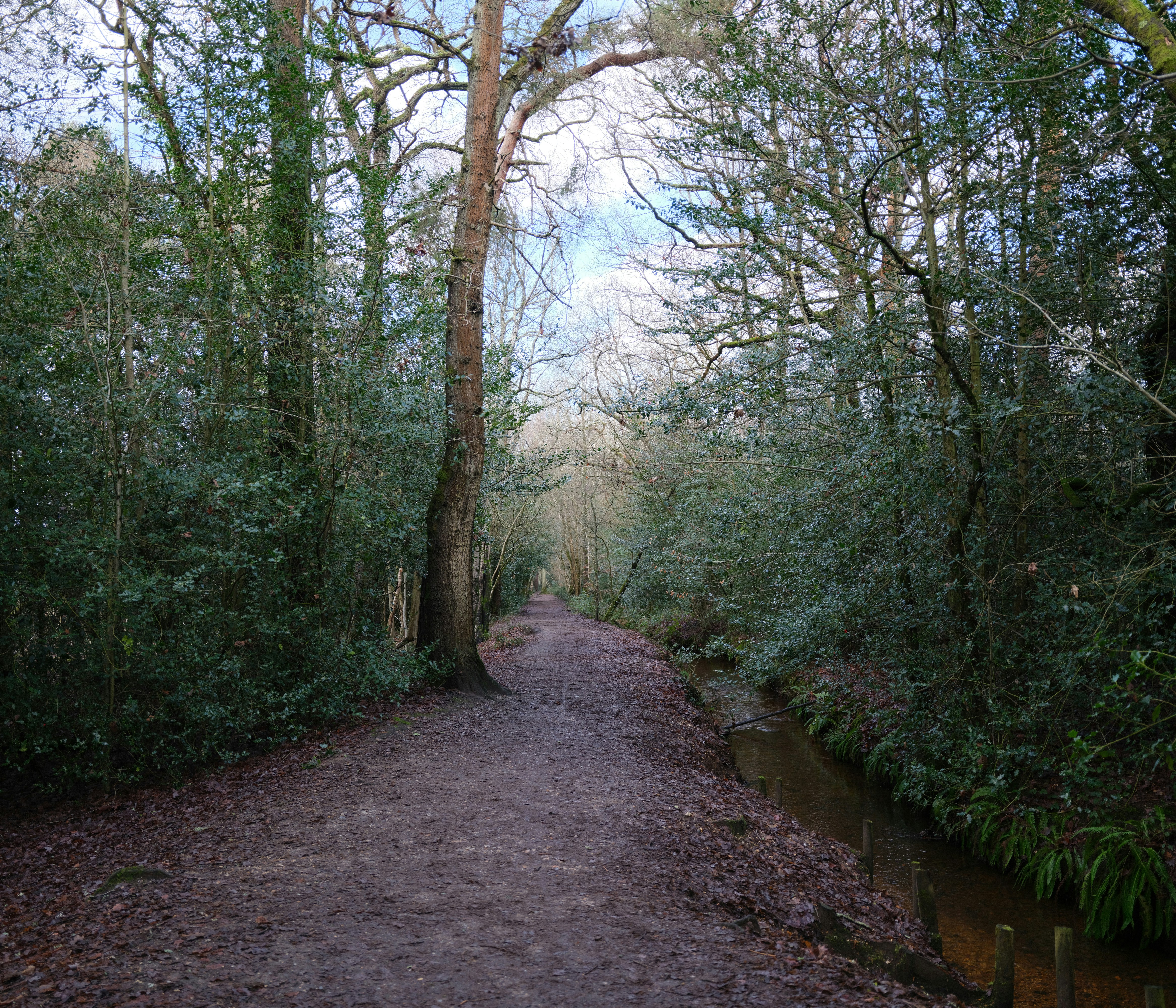 Photo by tanyabarrow