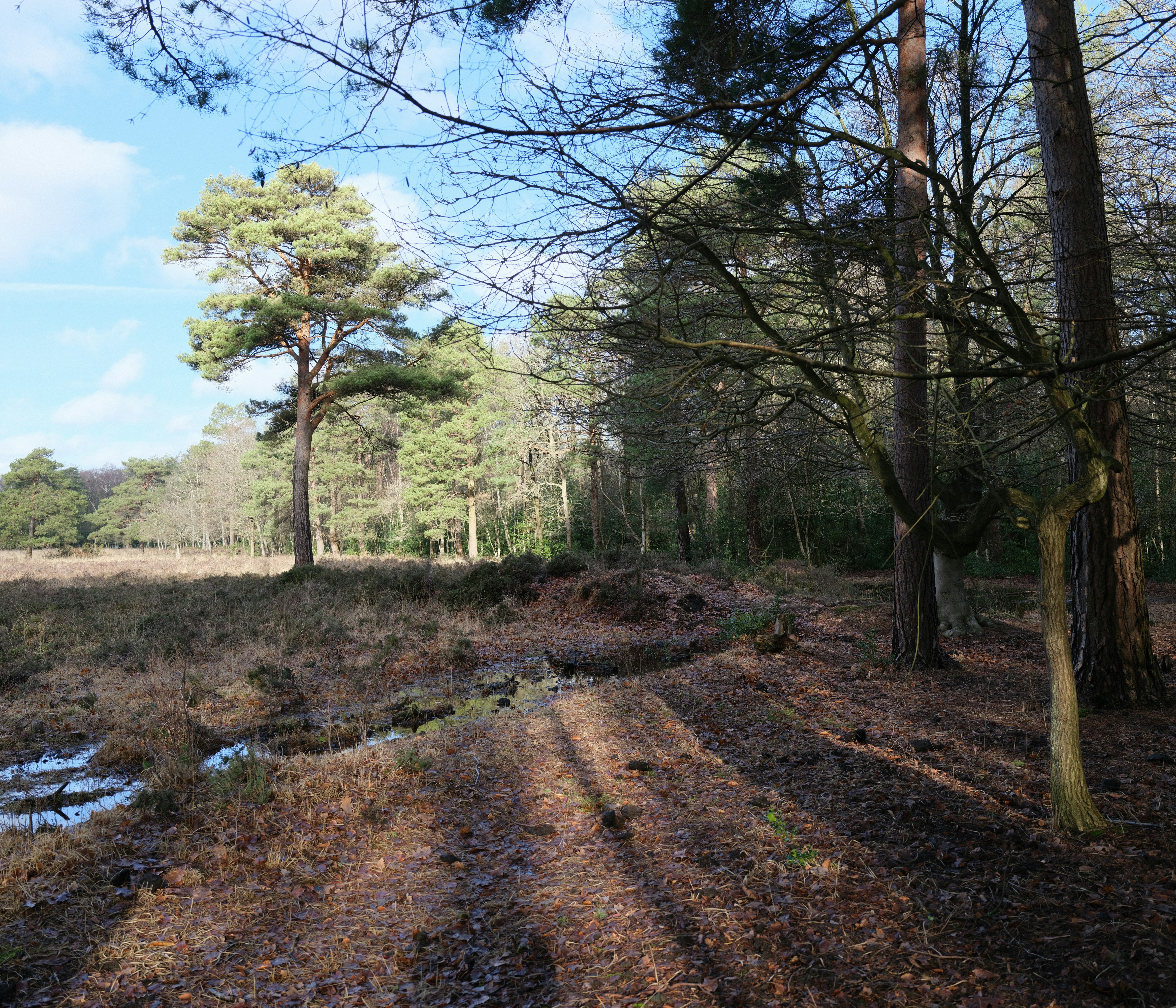 Photo by tanyabarrow