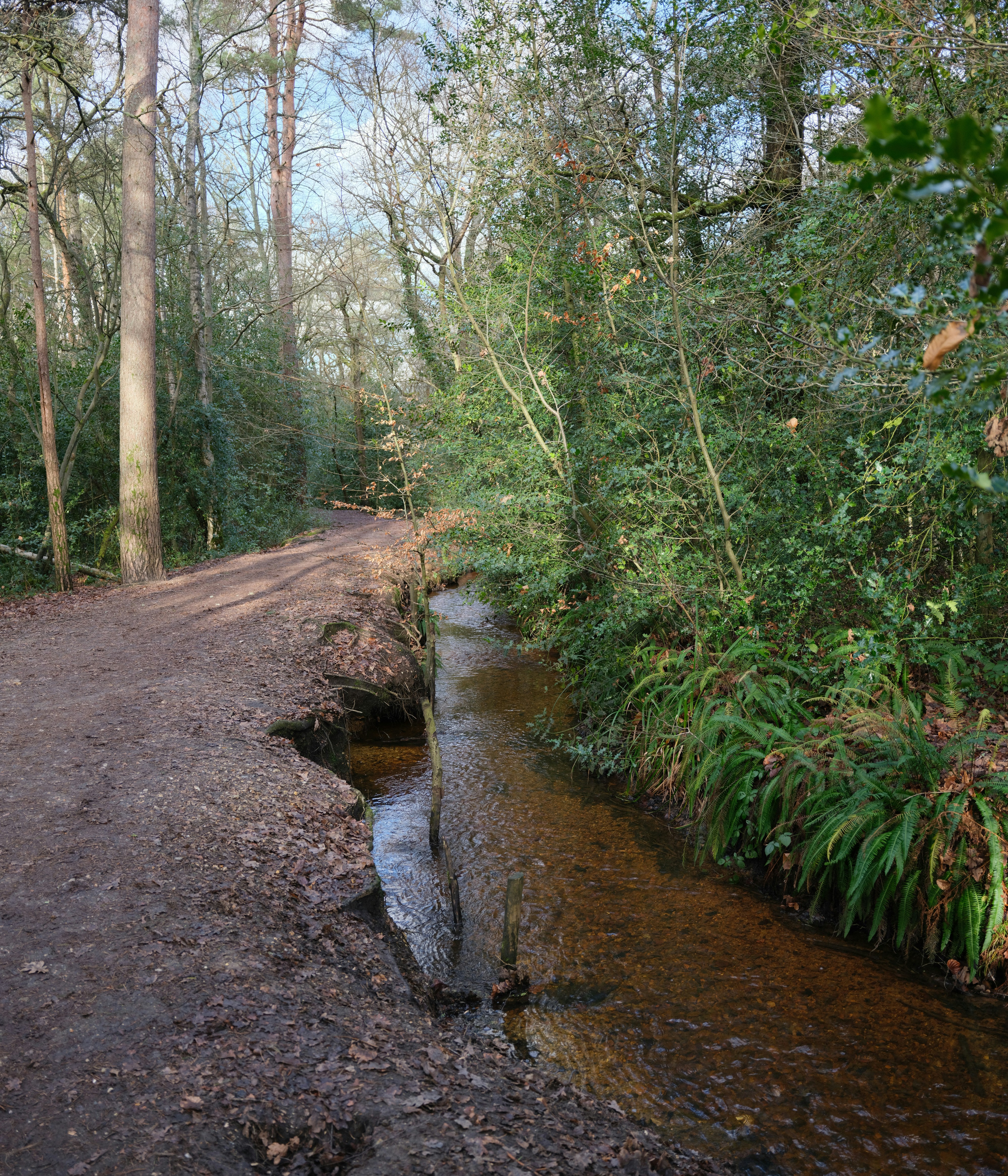 Photo by tanyabarrow