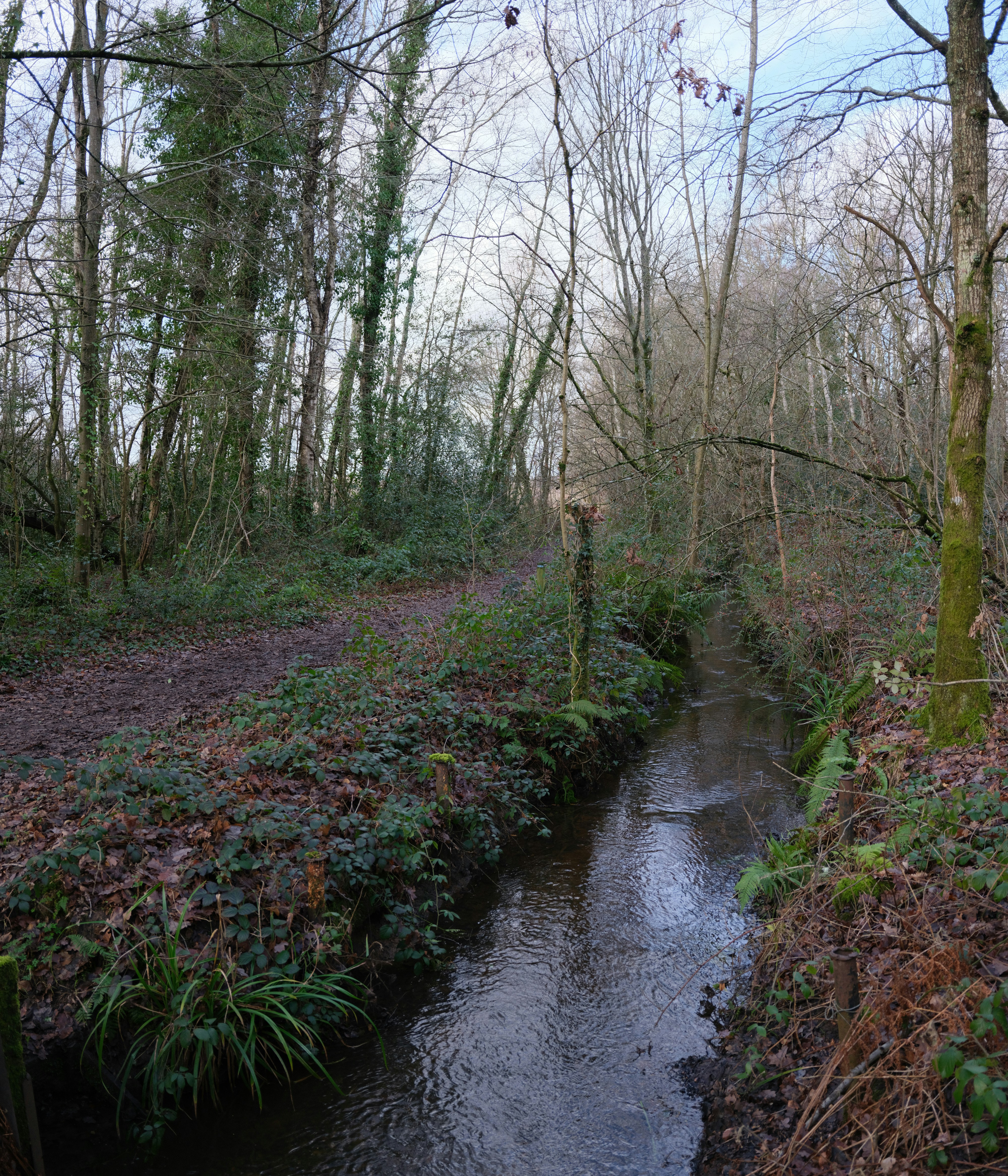 Photo by tanyabarrow