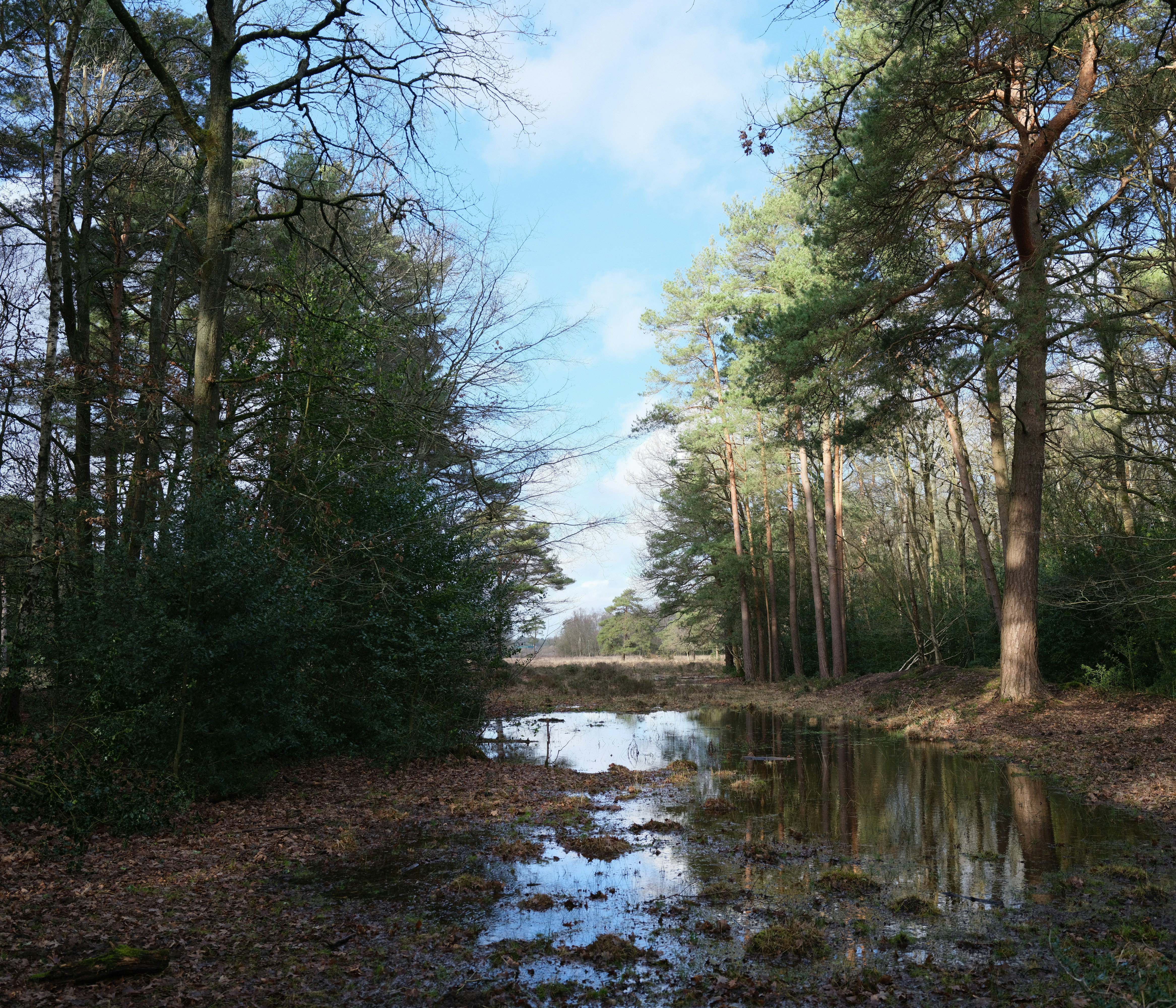 Photo by tanyabarrow