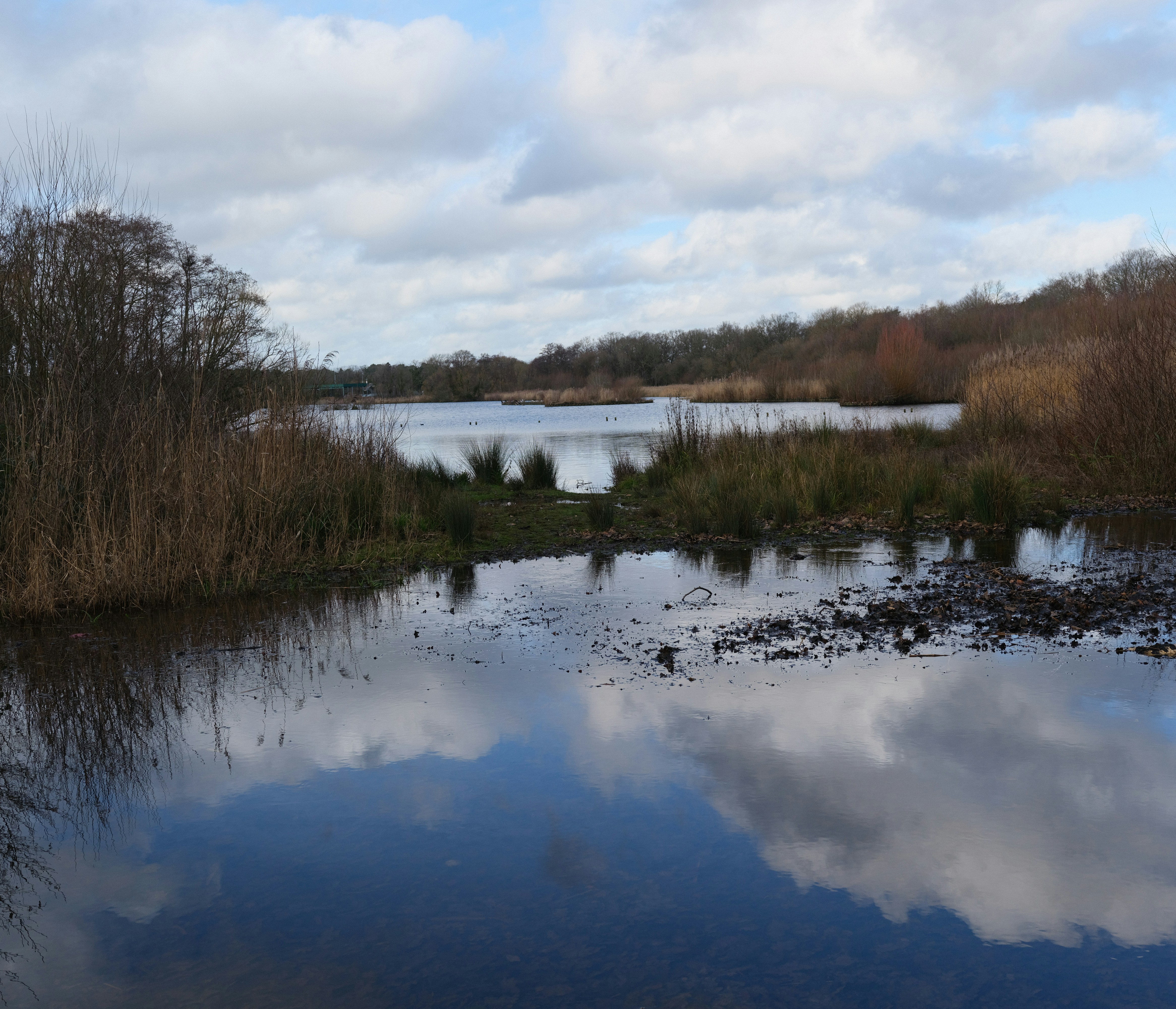 Photo by tanyabarrow