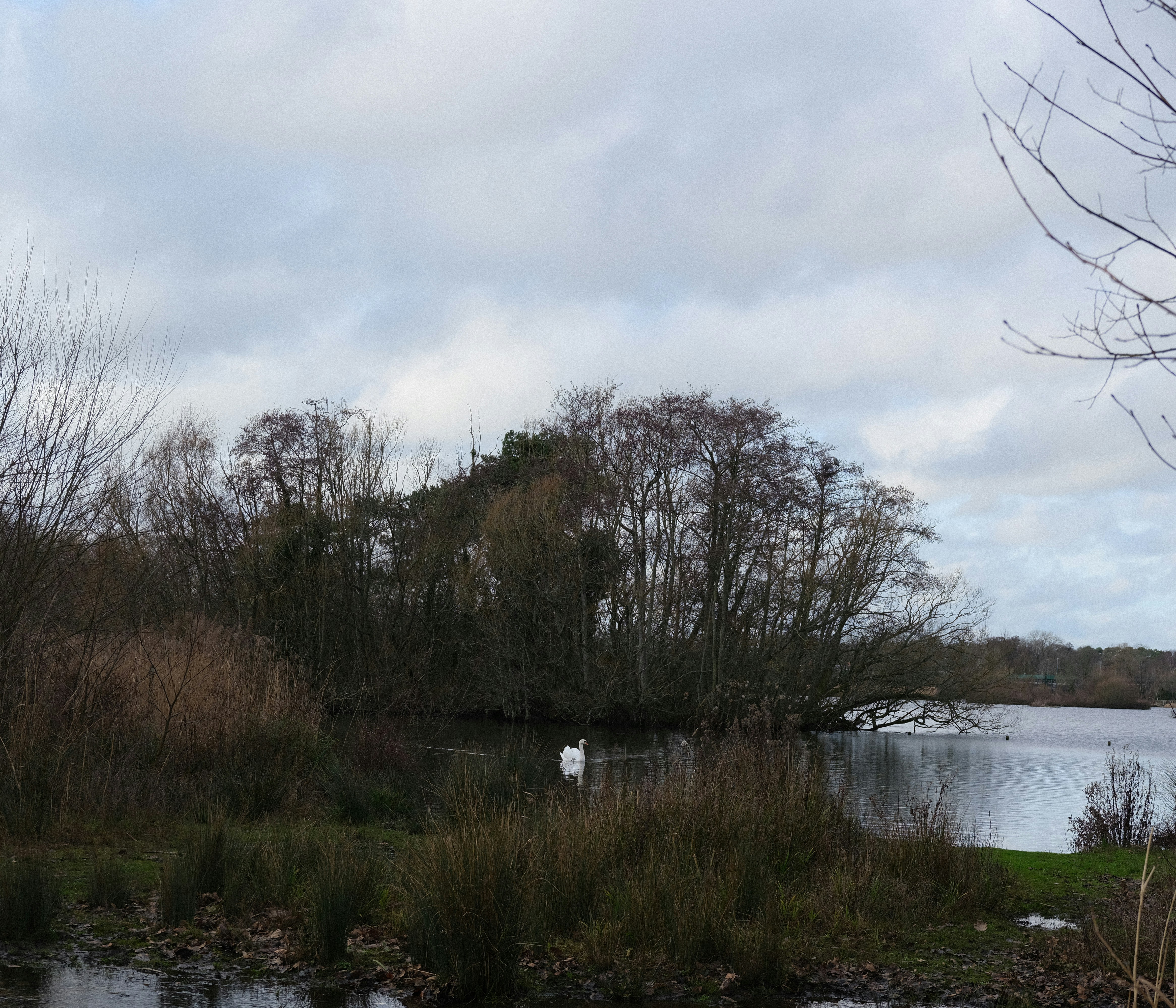 Photo by tanyabarrow