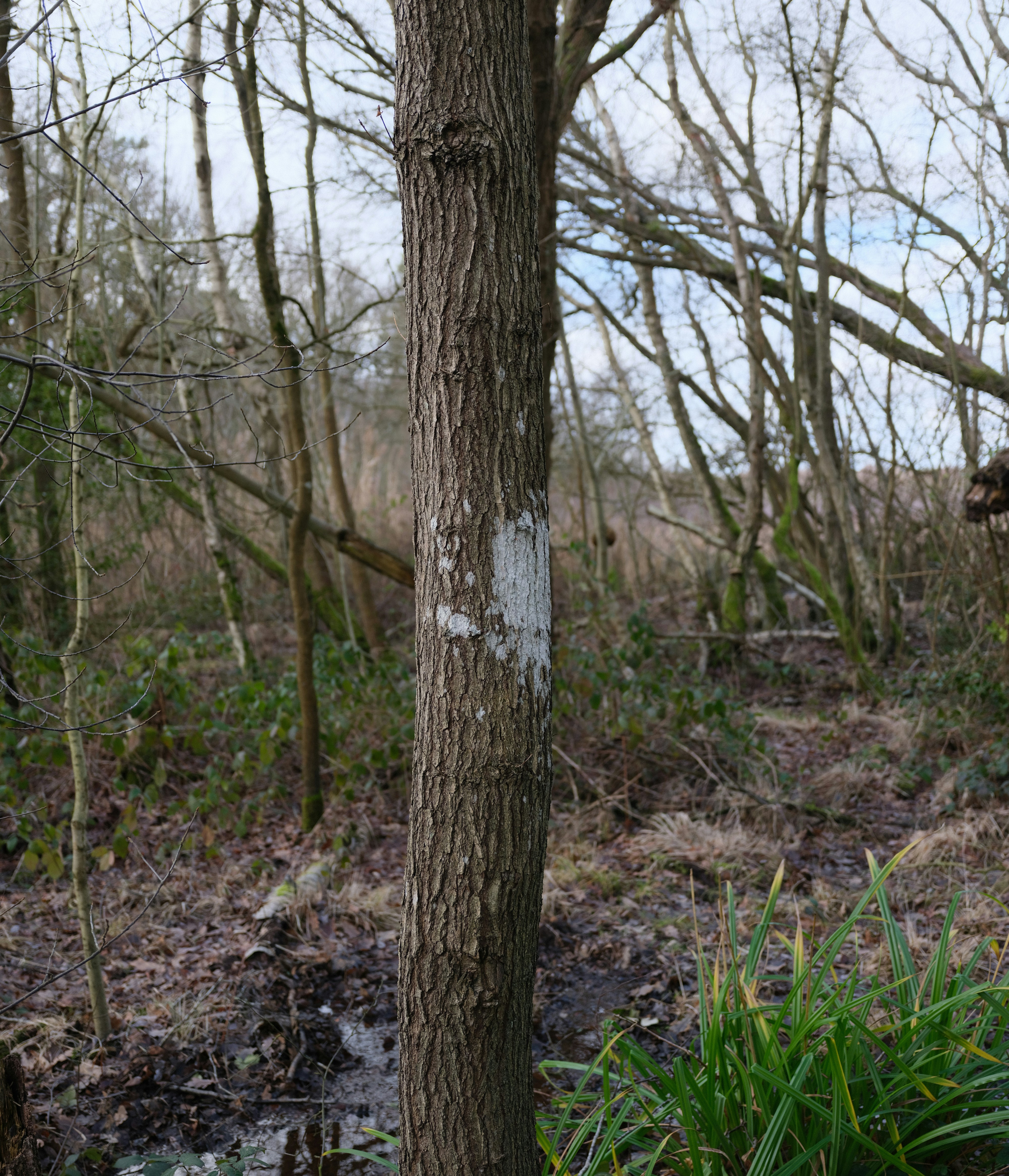 Photo by tanyabarrow