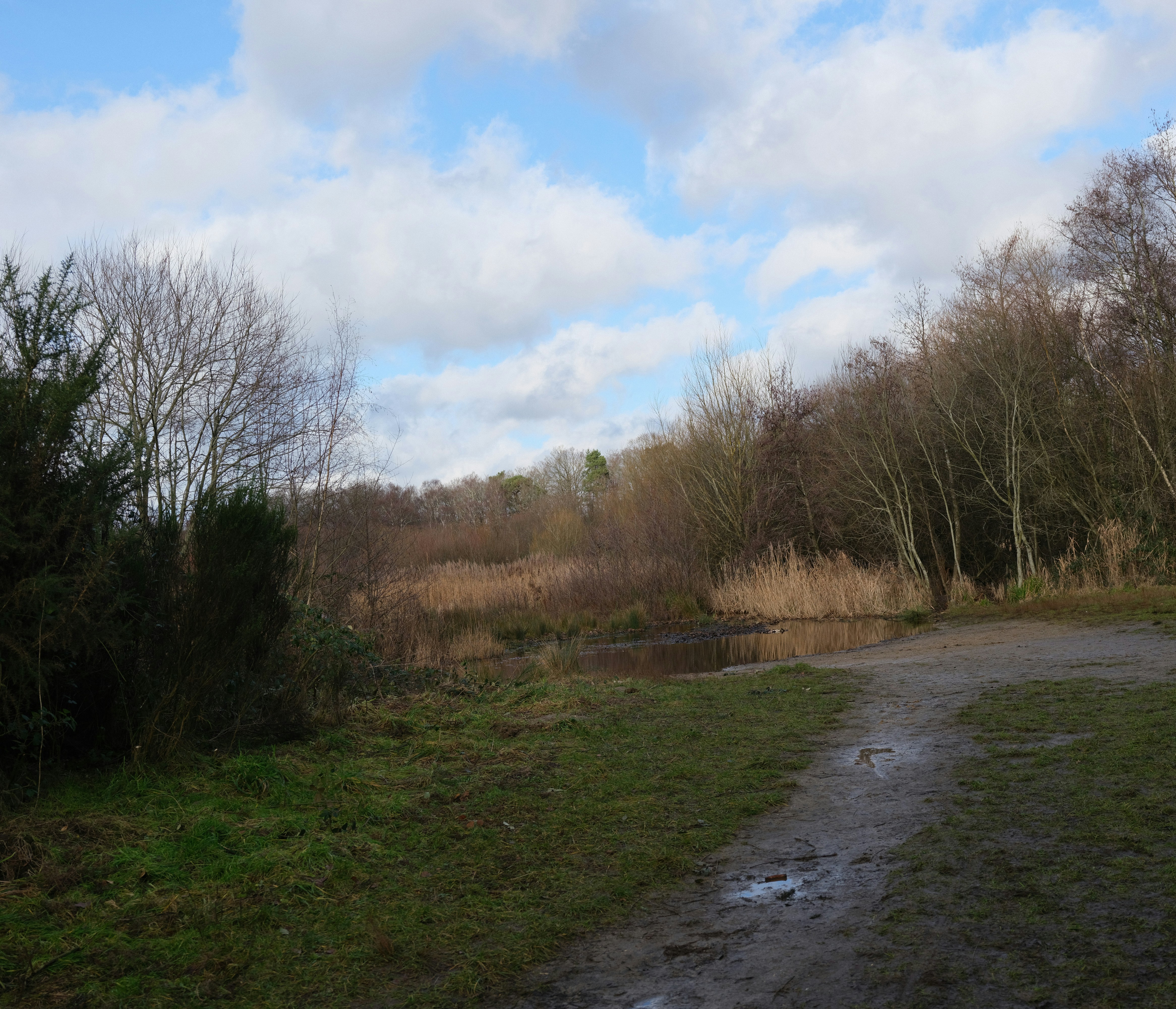 Photo by tanyabarrow