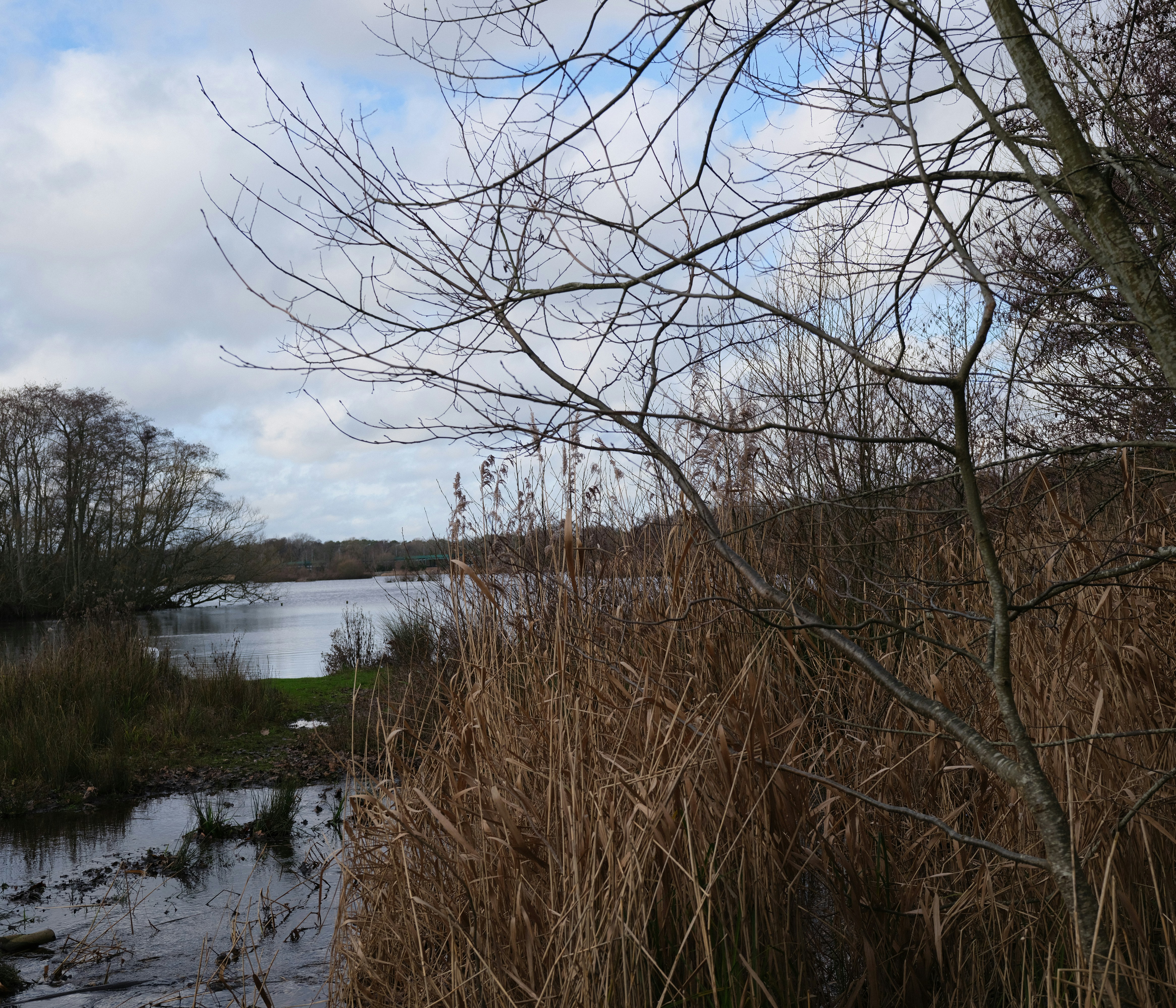 Photo by tanyabarrow