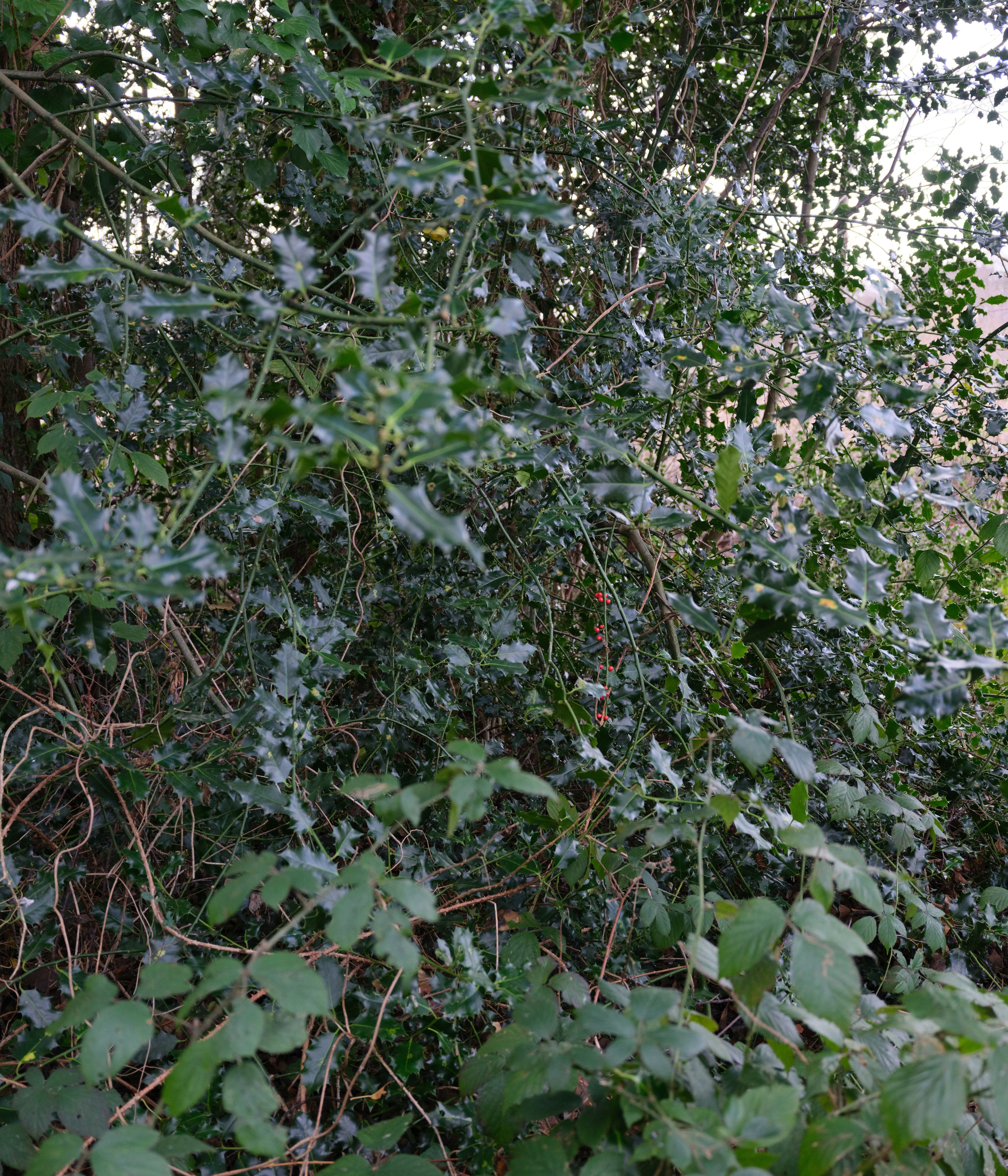 Photo by tanyabarrow