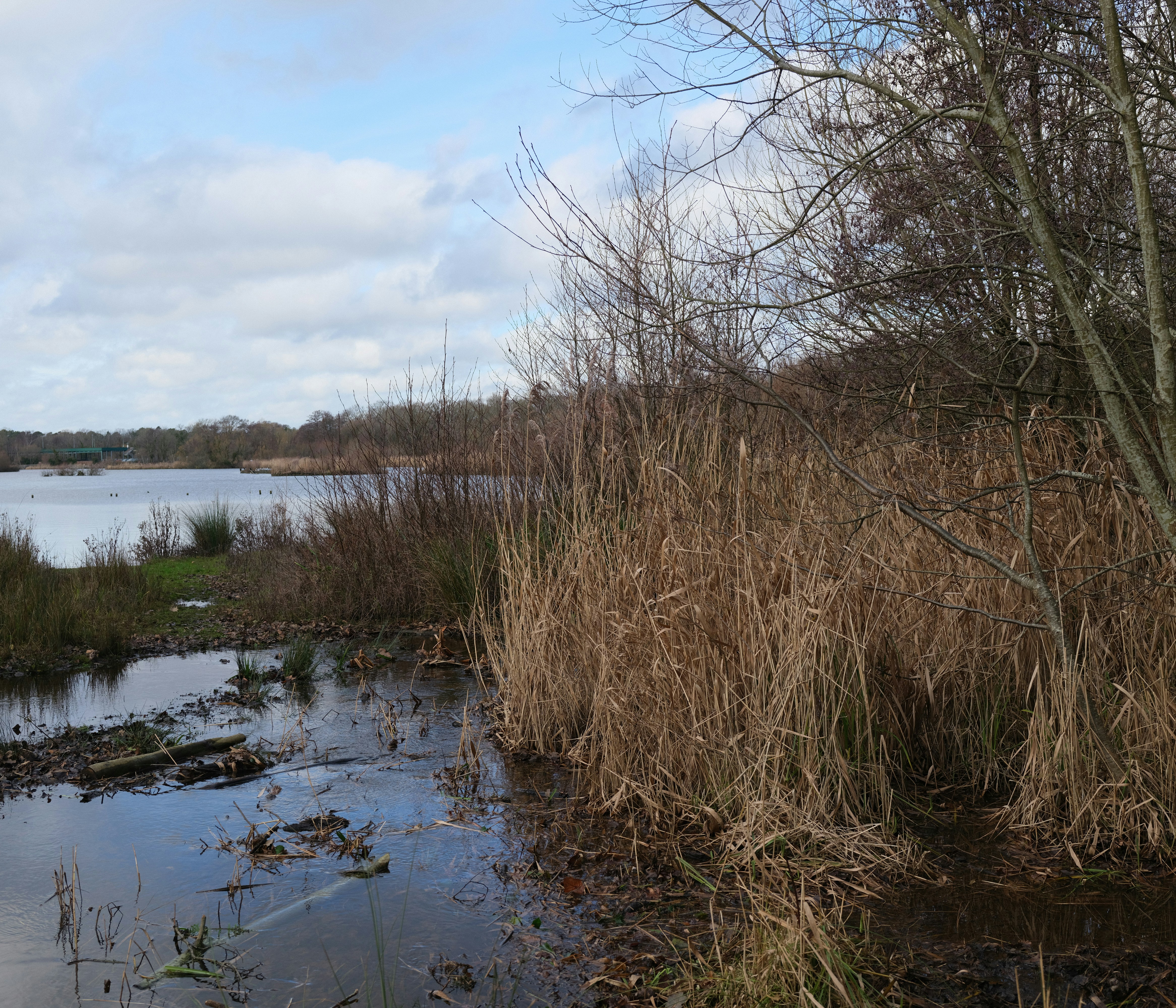 Photo by tanyabarrow