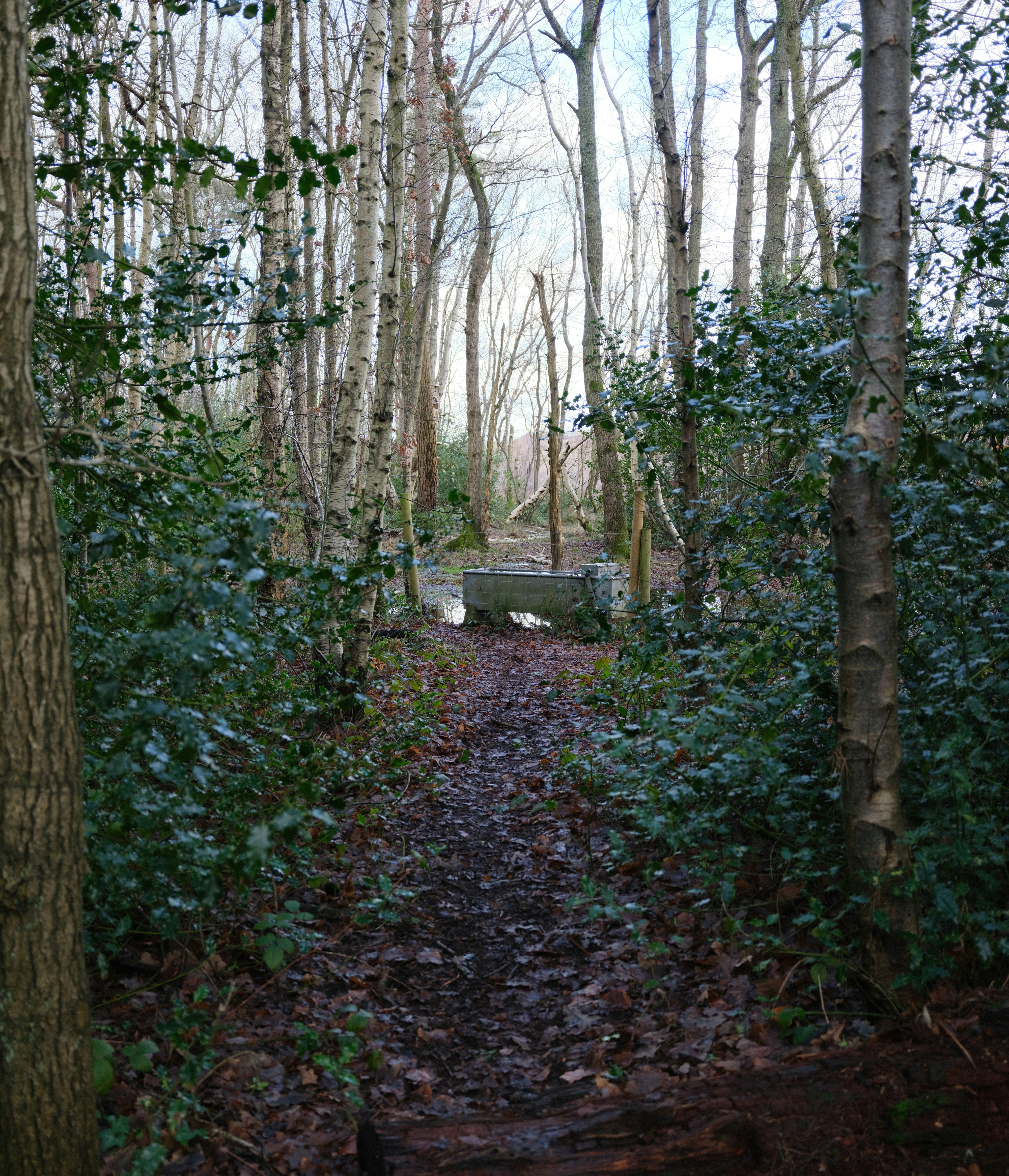 Photo by tanyabarrow