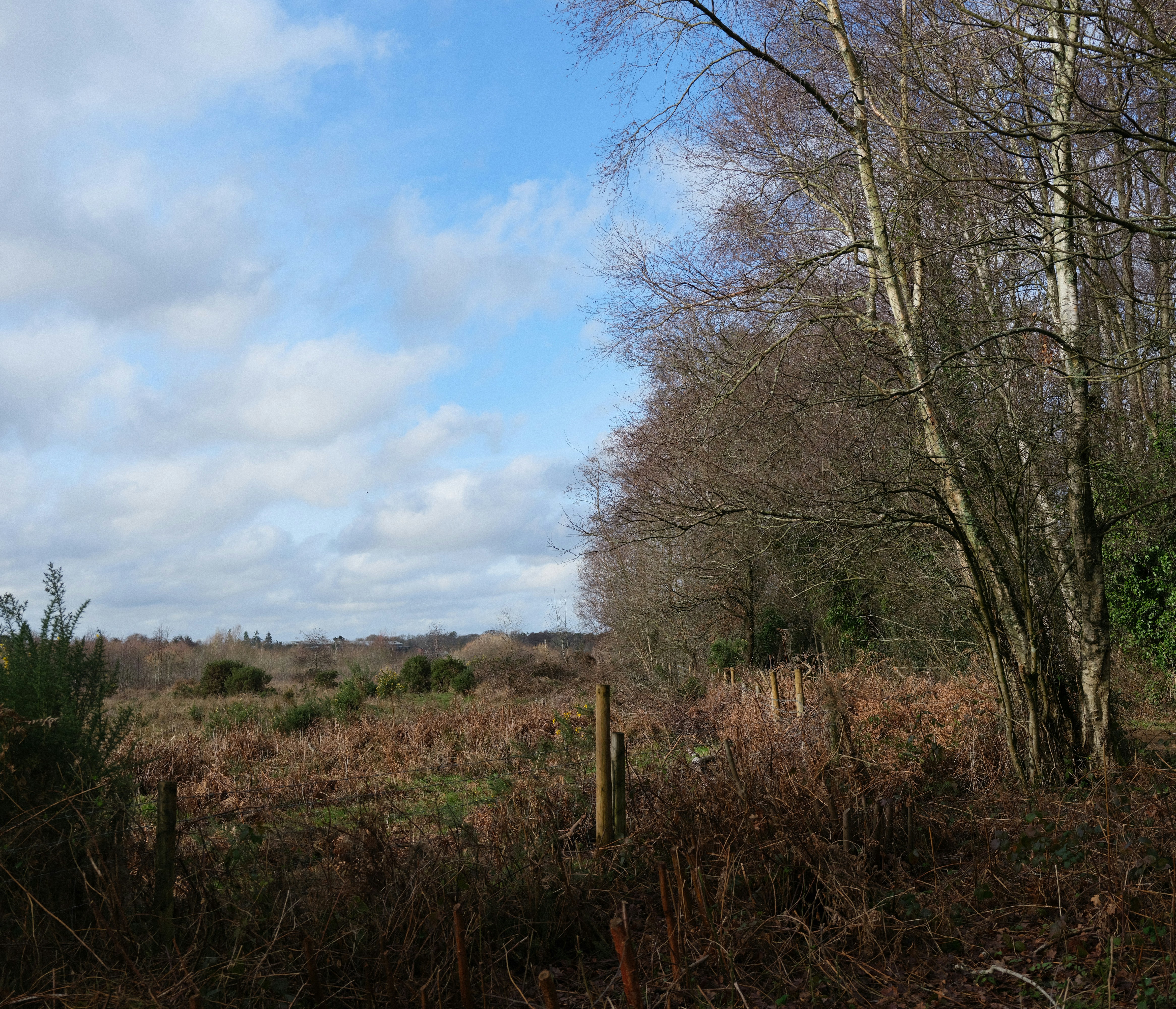 Photo by tanyabarrow