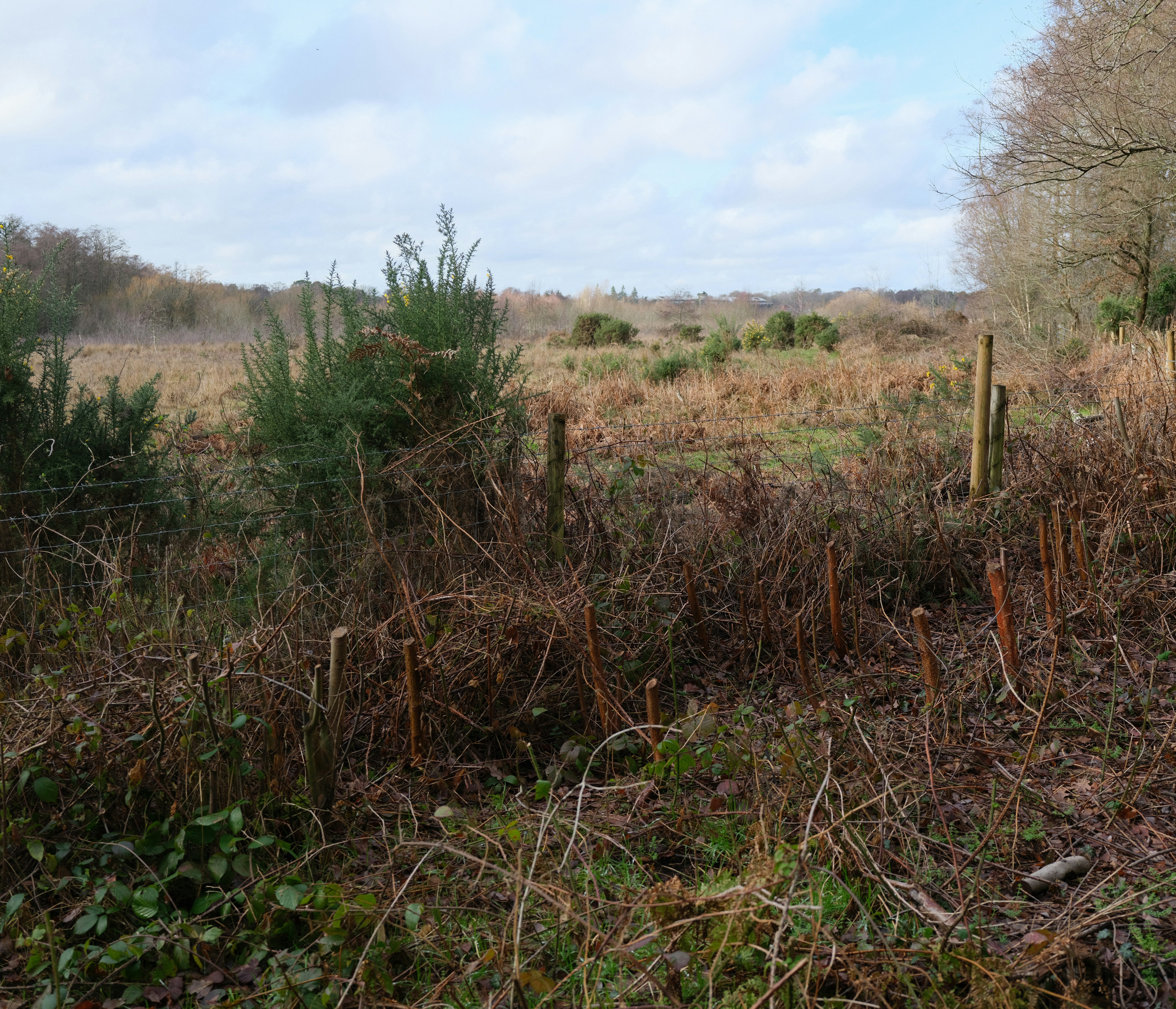 Photo by tanyabarrow