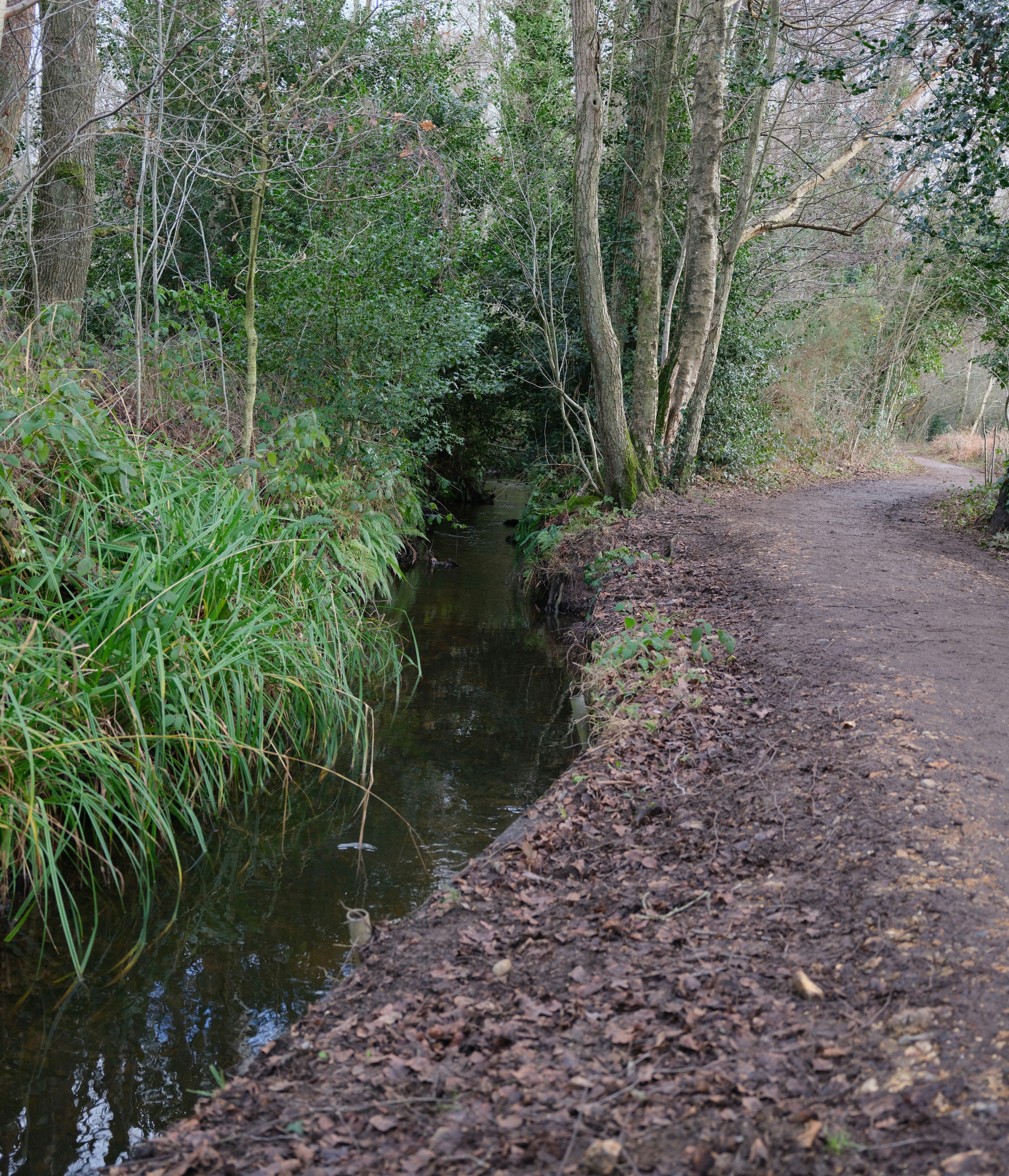 Photo by tanyabarrow