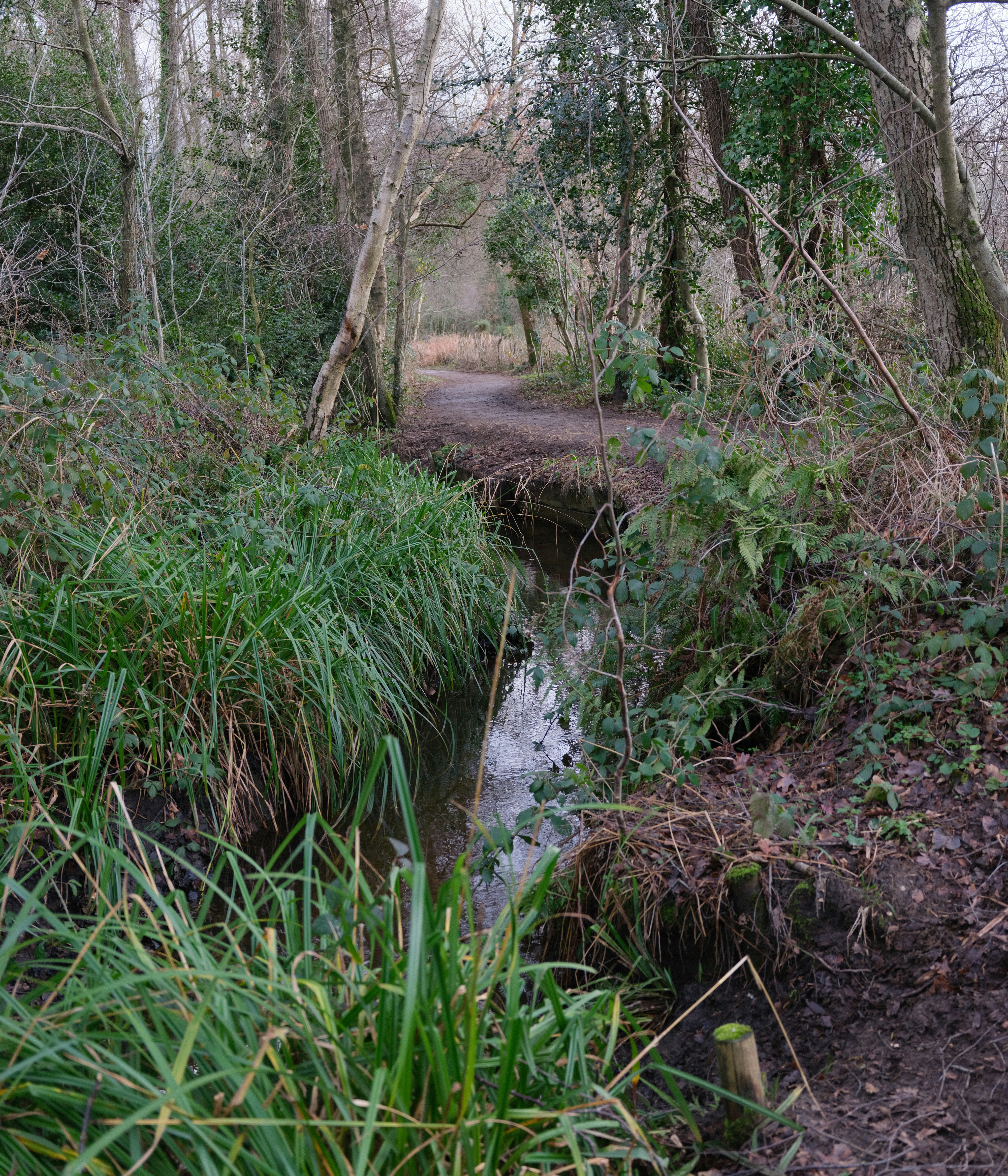 Photo by tanyabarrow