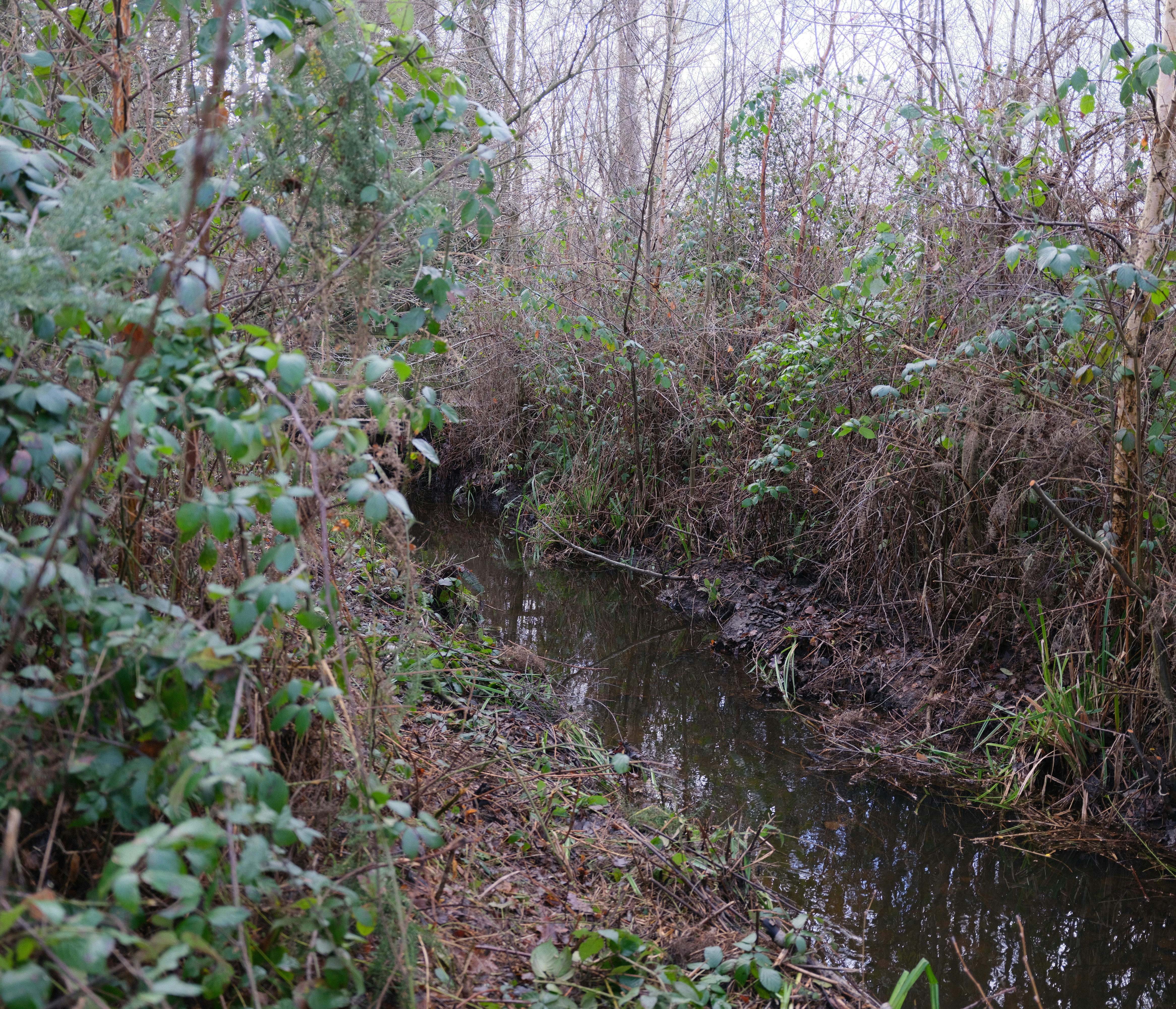 Photo by tanyabarrow