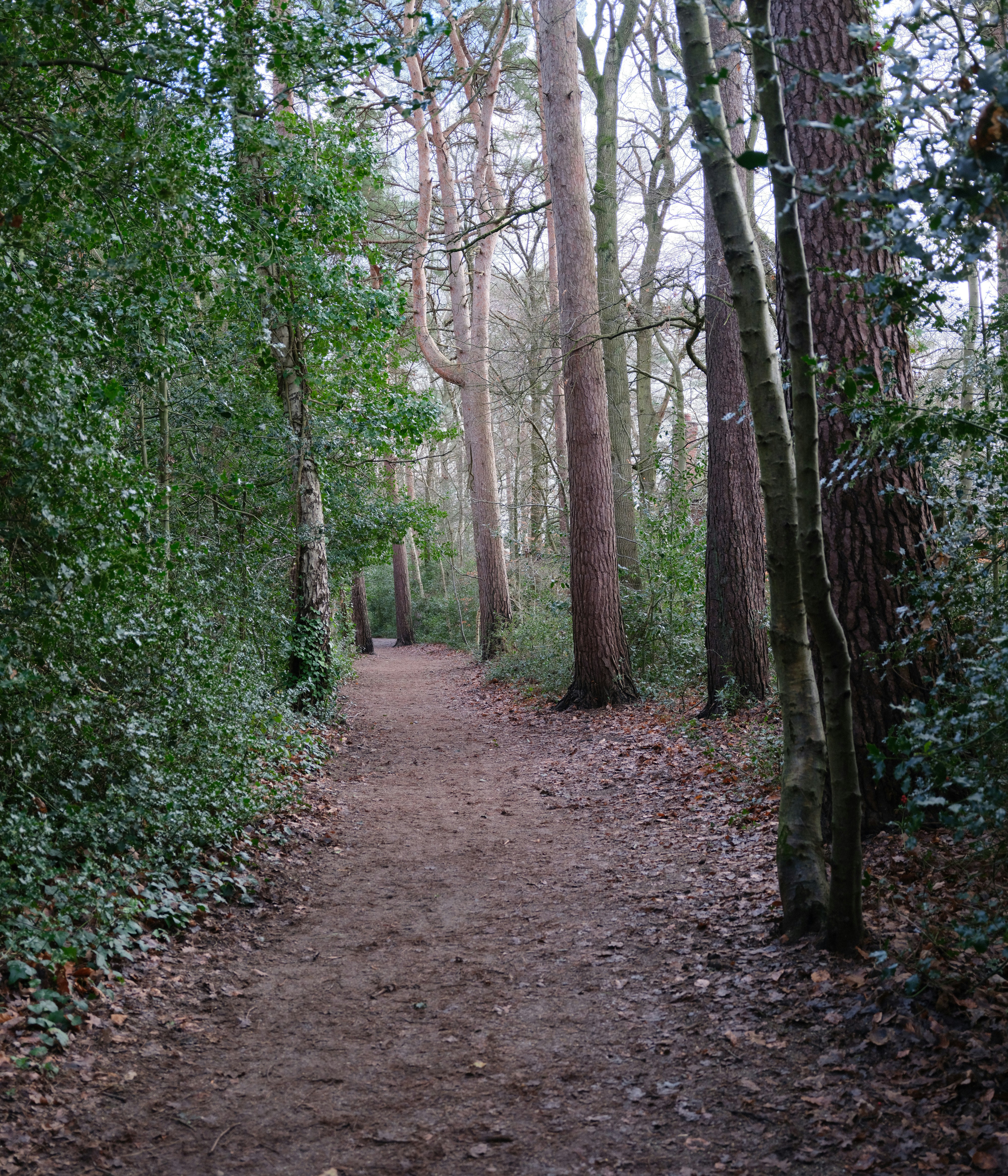 Photo by tanyabarrow