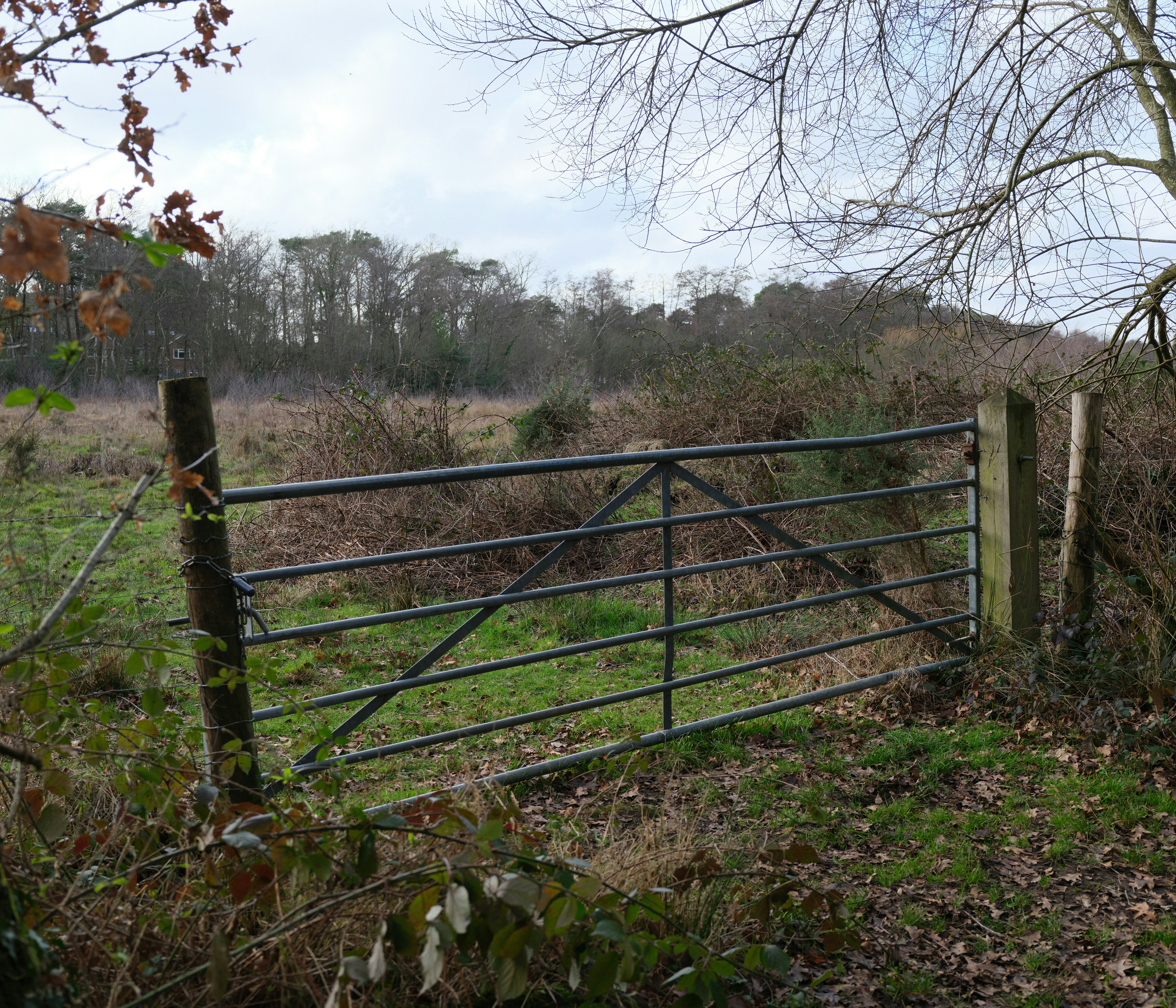 Photo by tanyabarrow