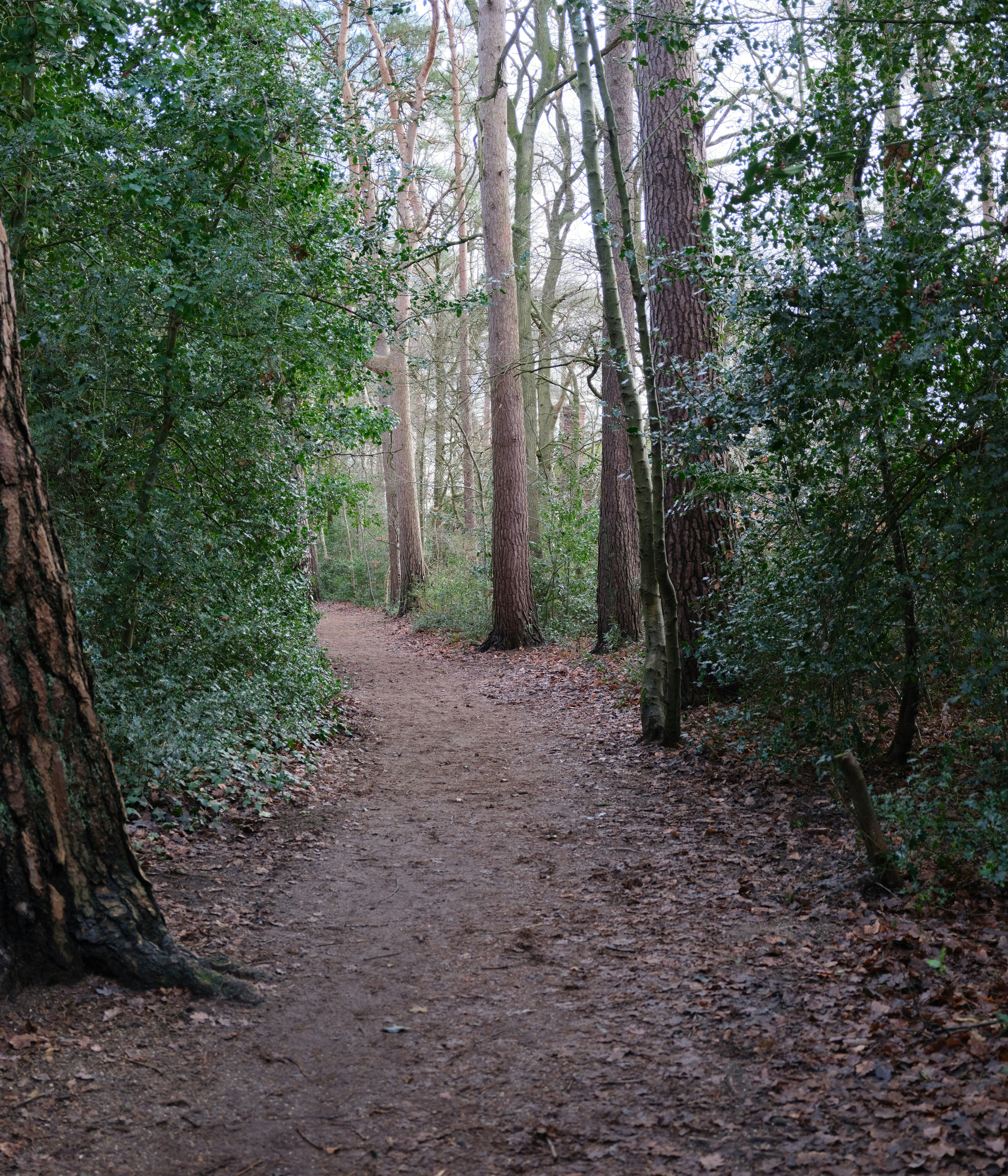 Photo by tanyabarrow