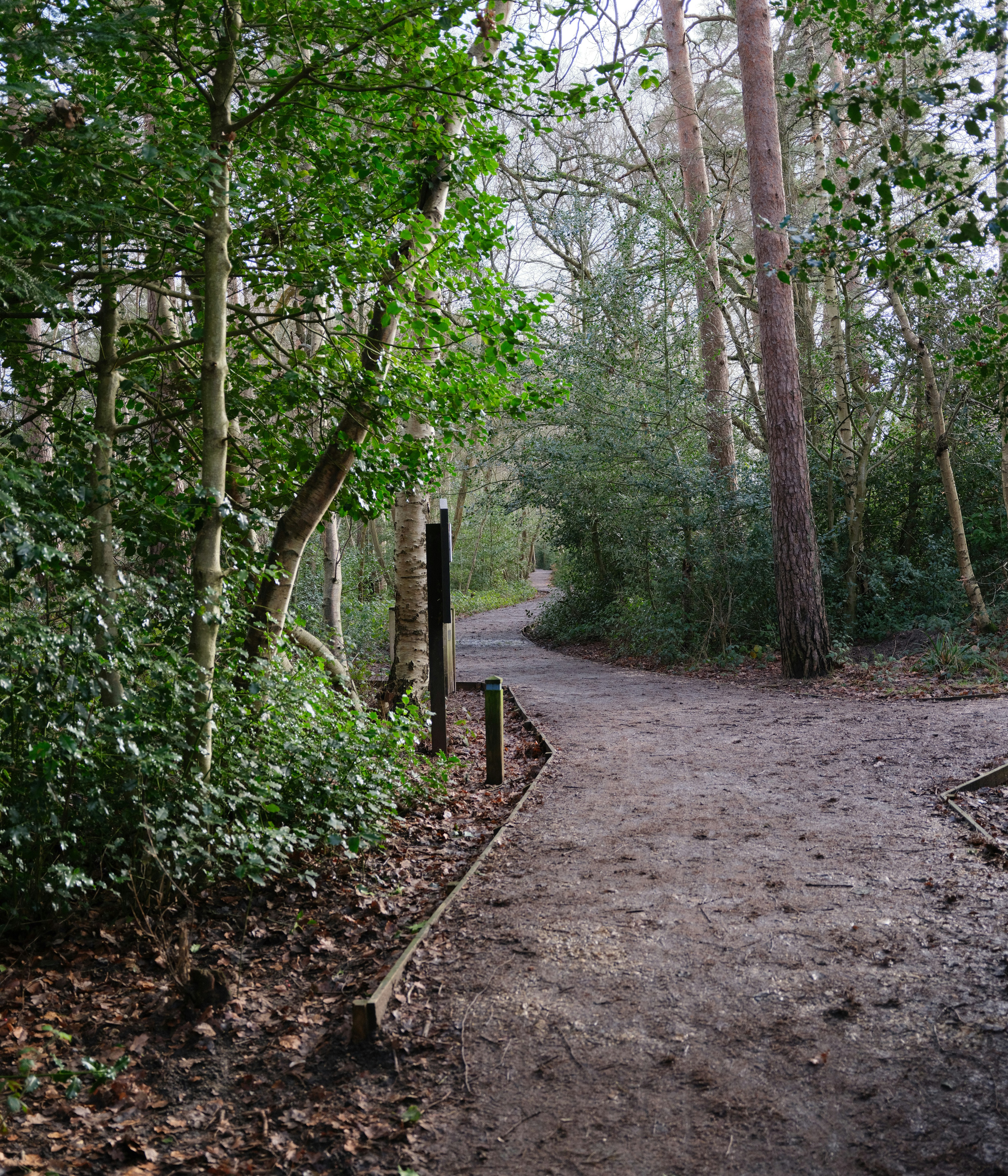 Photo by tanyabarrow