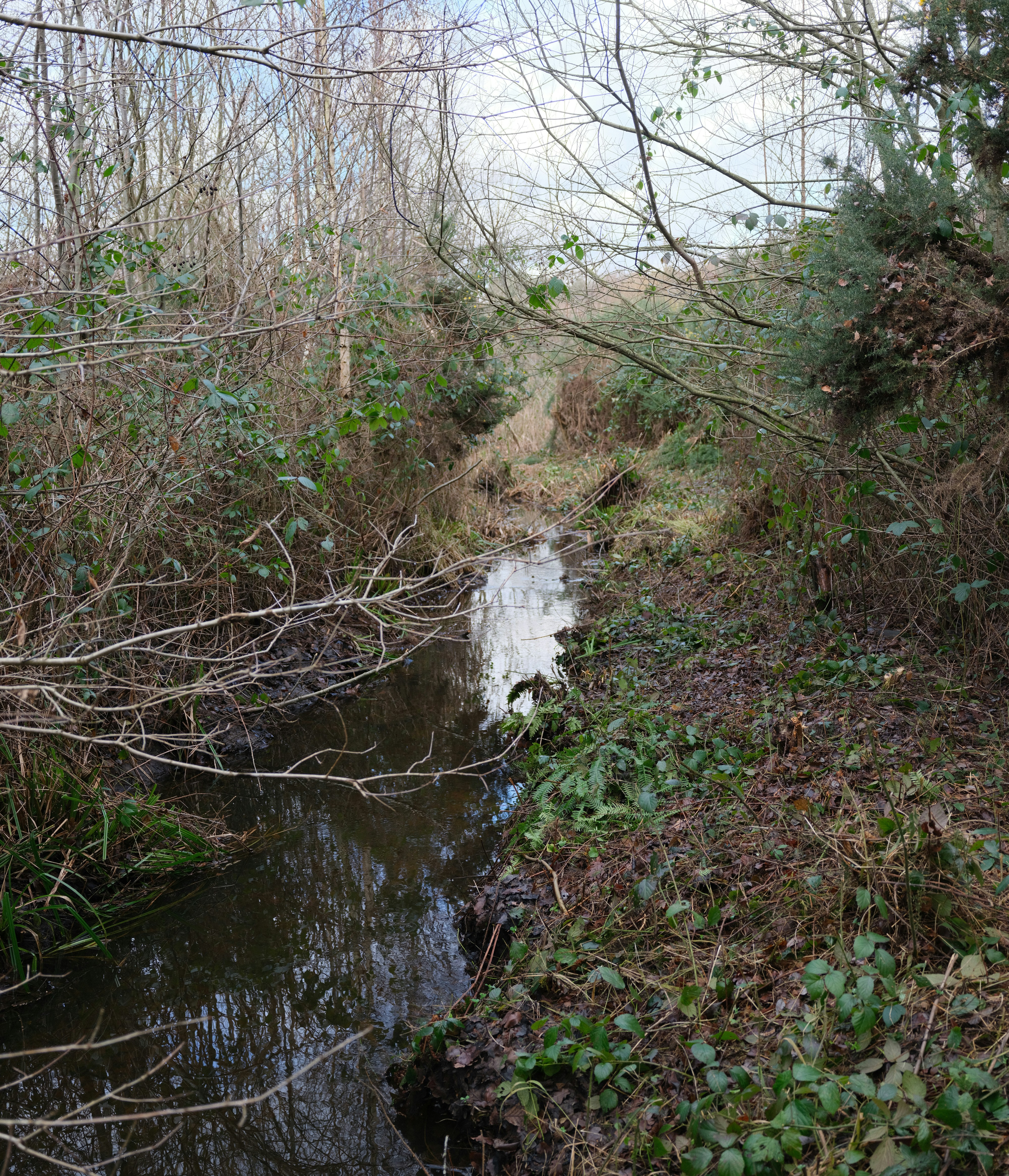 Photo by tanyabarrow