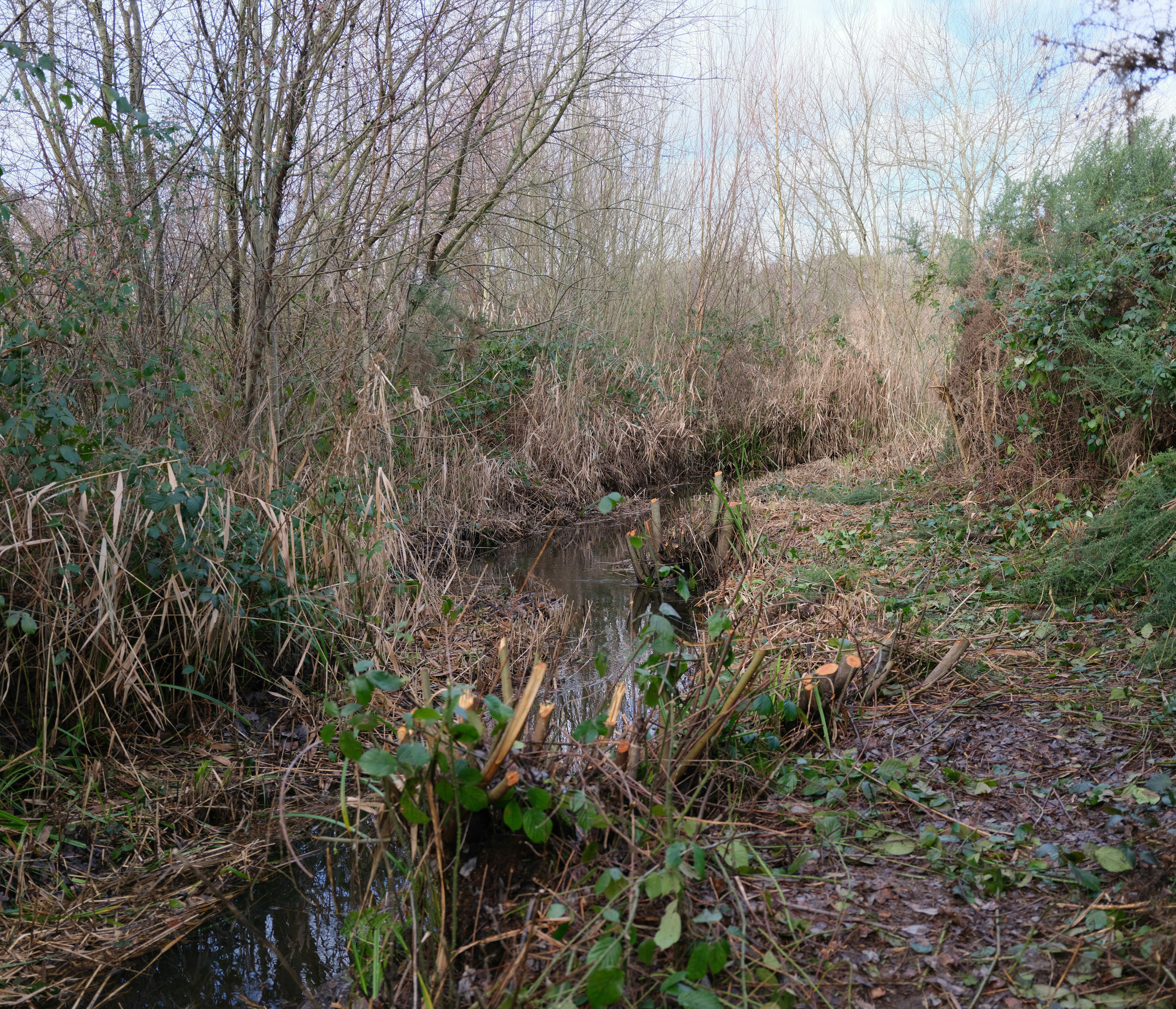 Photo by tanyabarrow