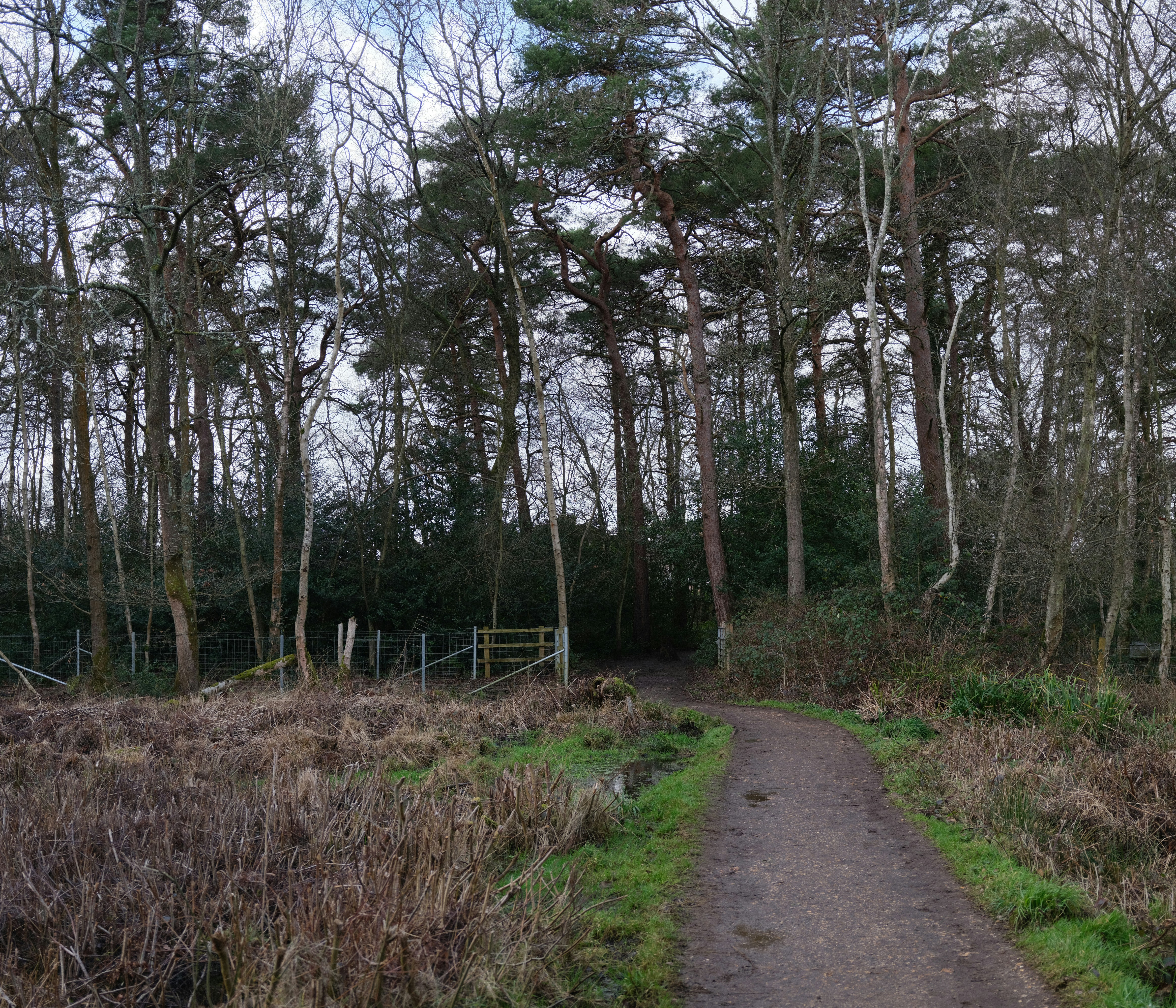 Photo by tanyabarrow