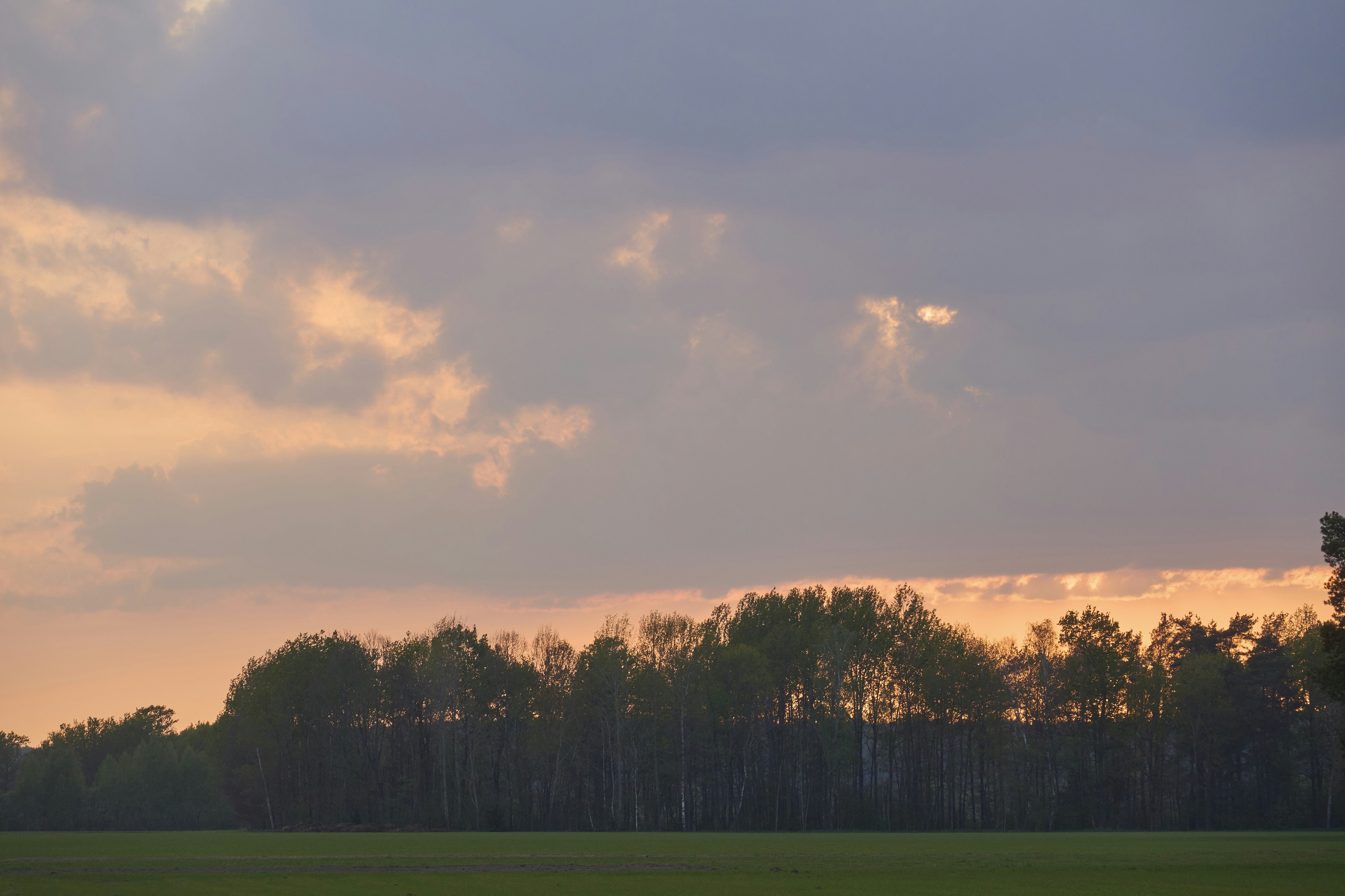 Sunset clouds over a distant treeline