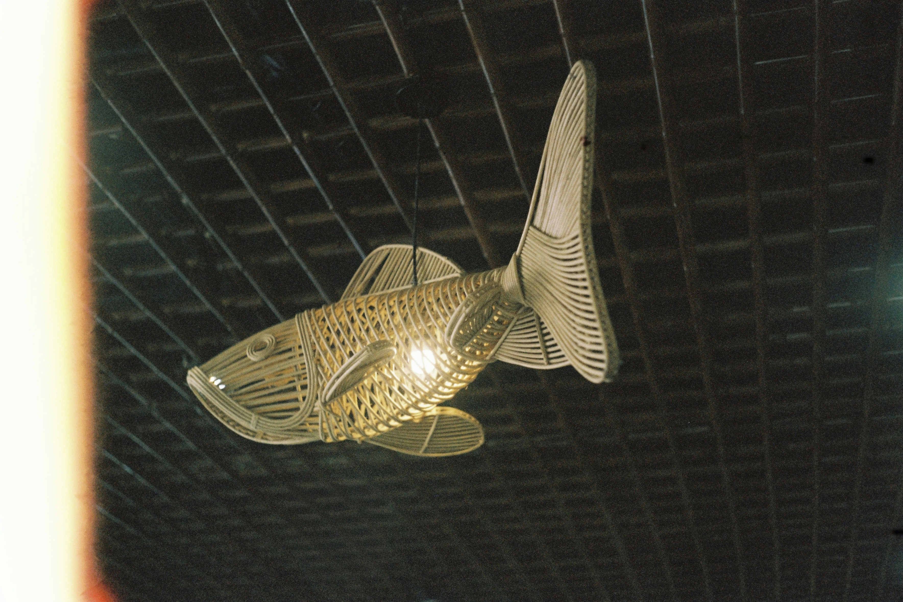 天井から吊るされた透明な魚の彫刻。