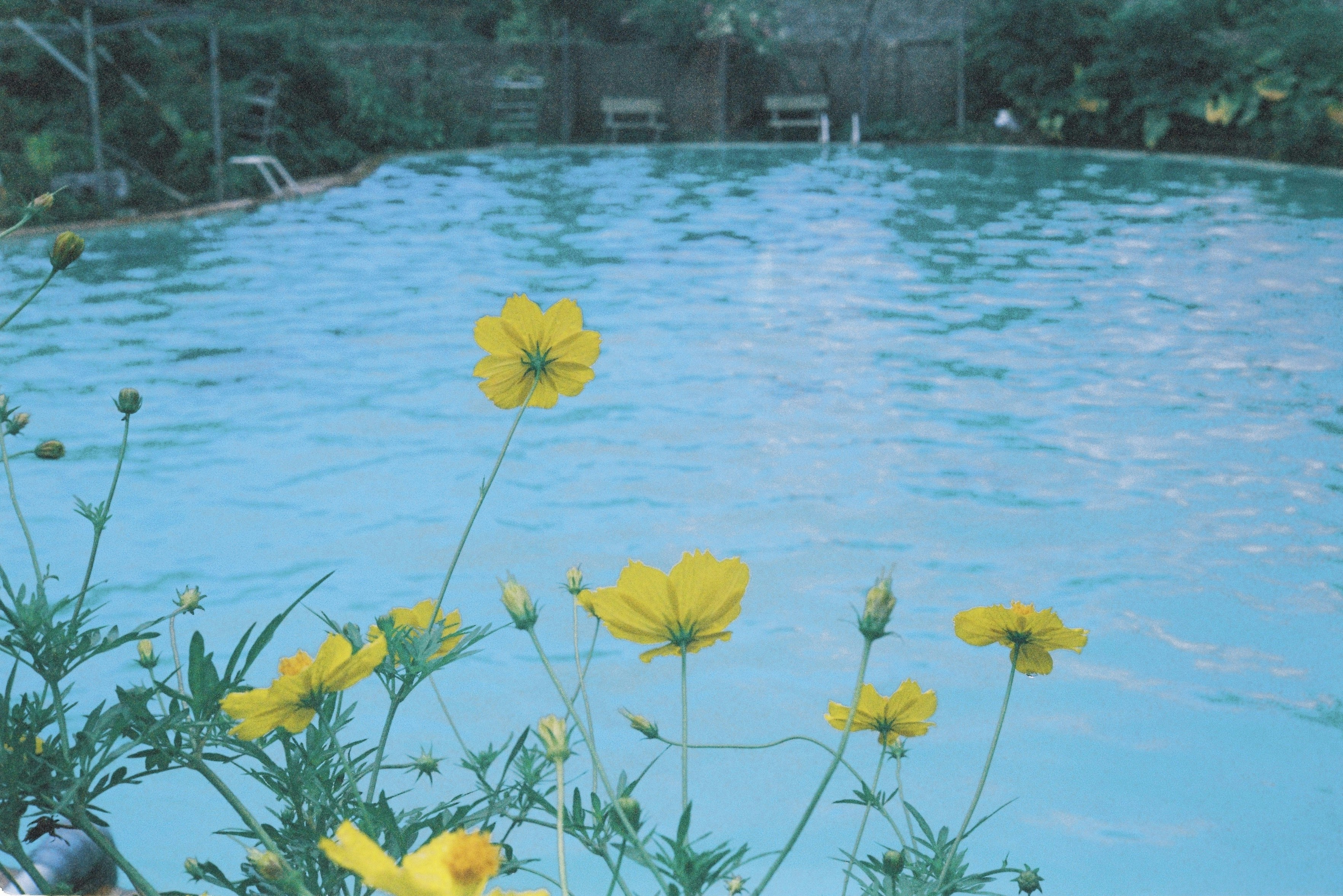 Photo by potatonorim