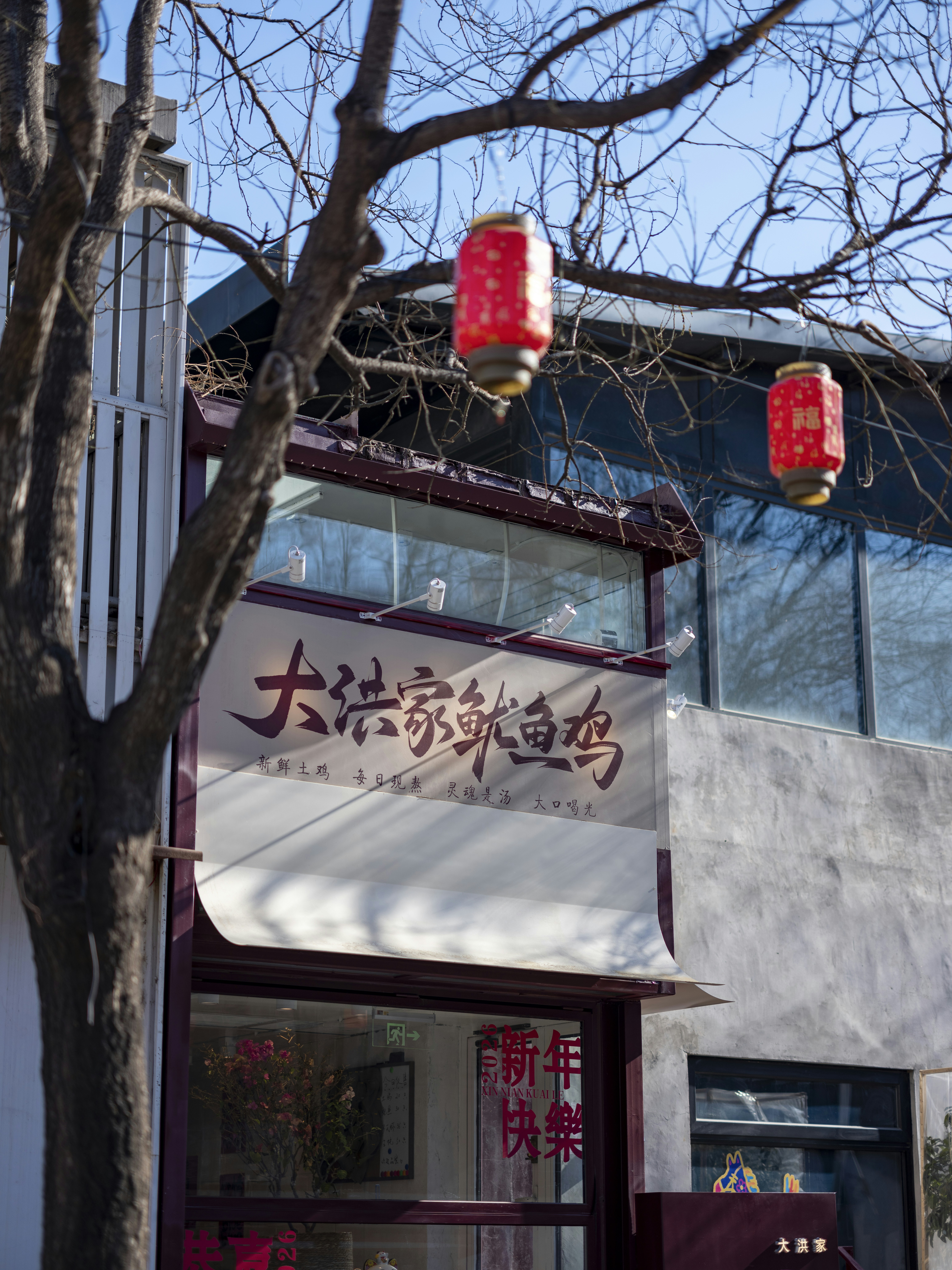 Red lanterns hang from a bare tree branch.