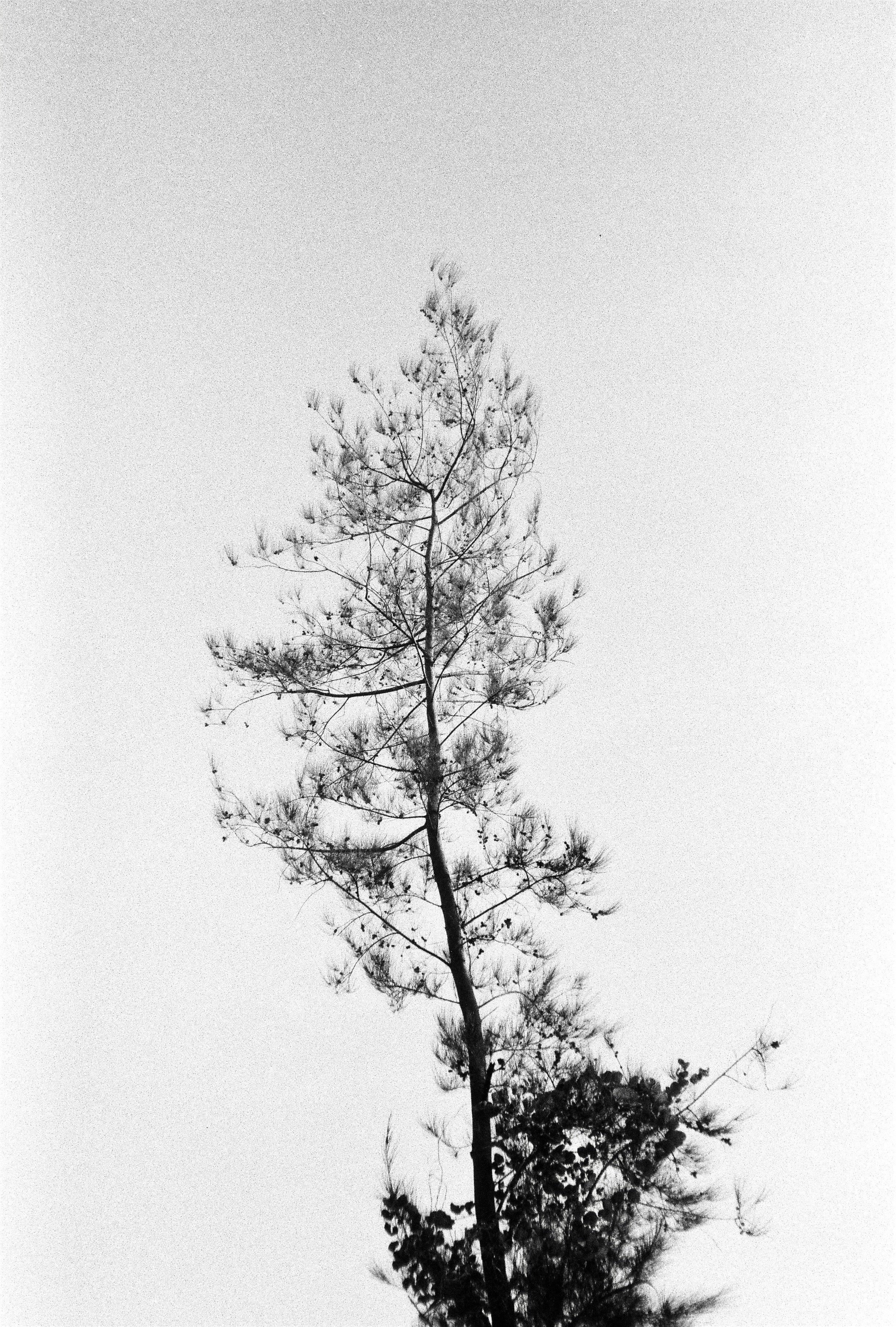 Photo by potatonorim