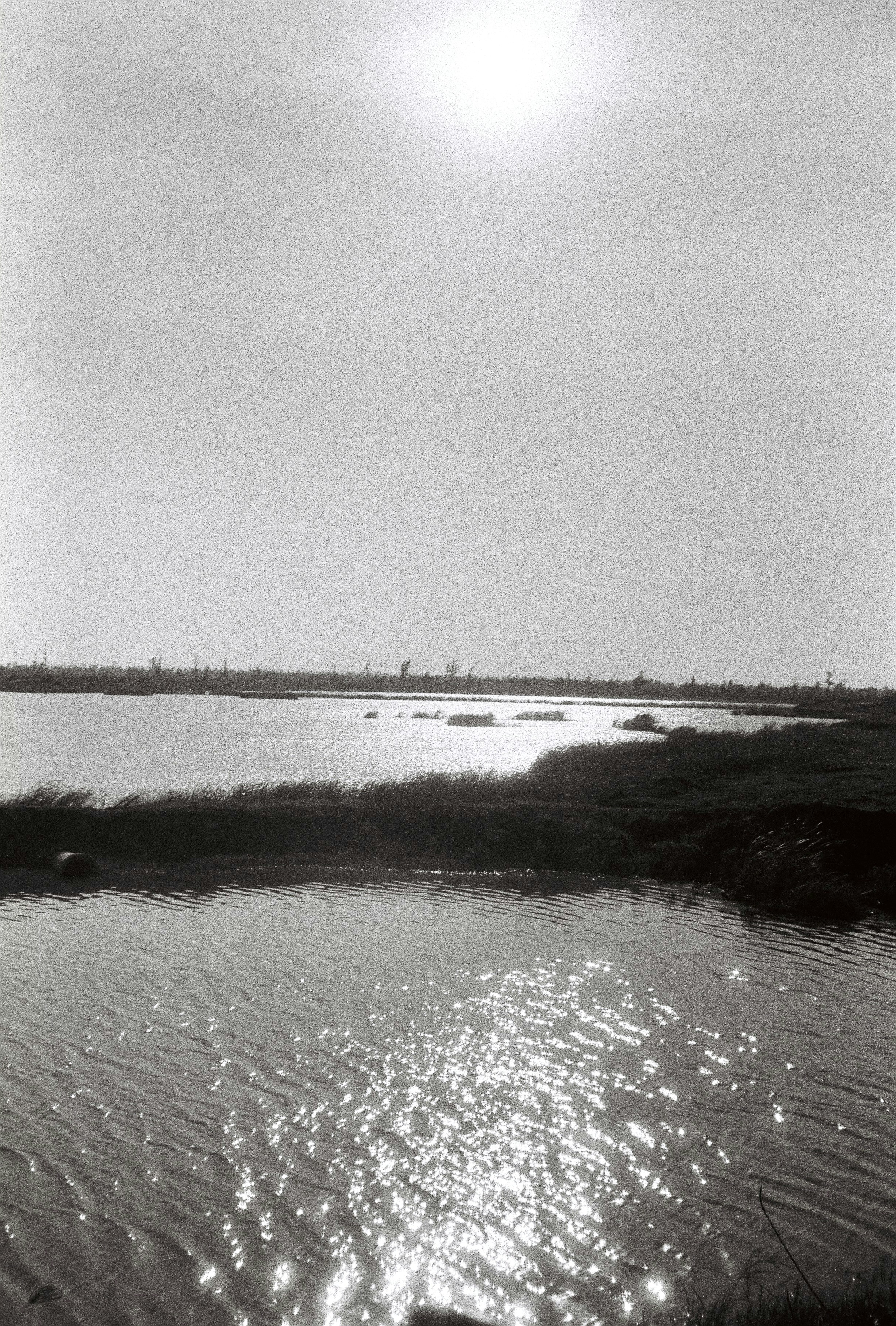 Photo by potatonorim