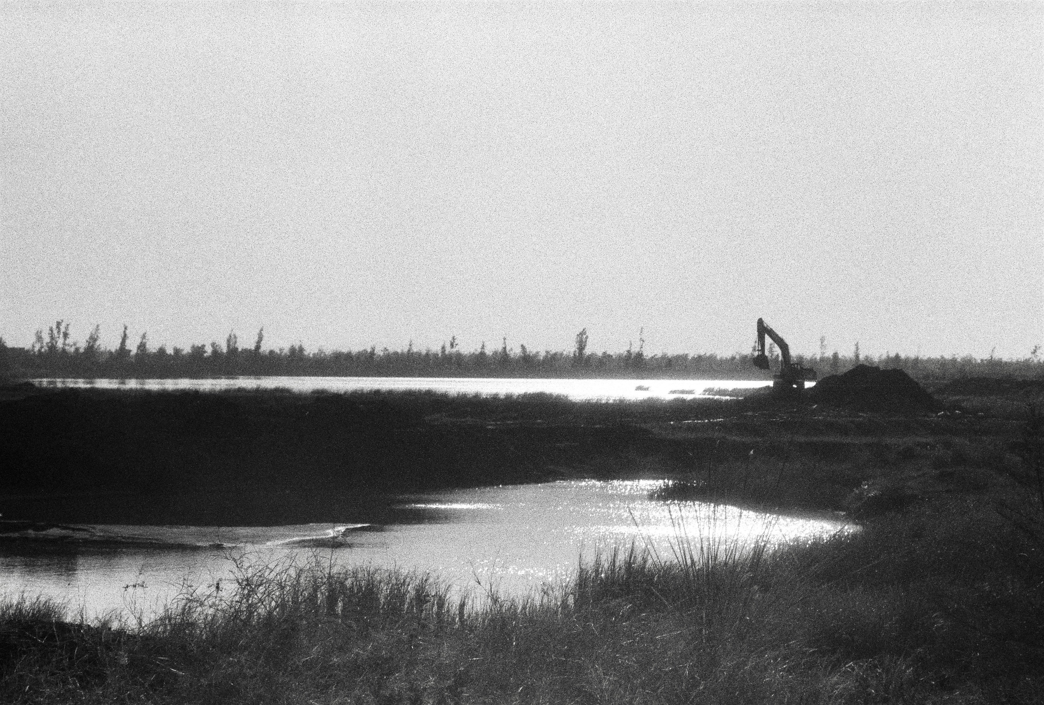 Photo by potatonorim