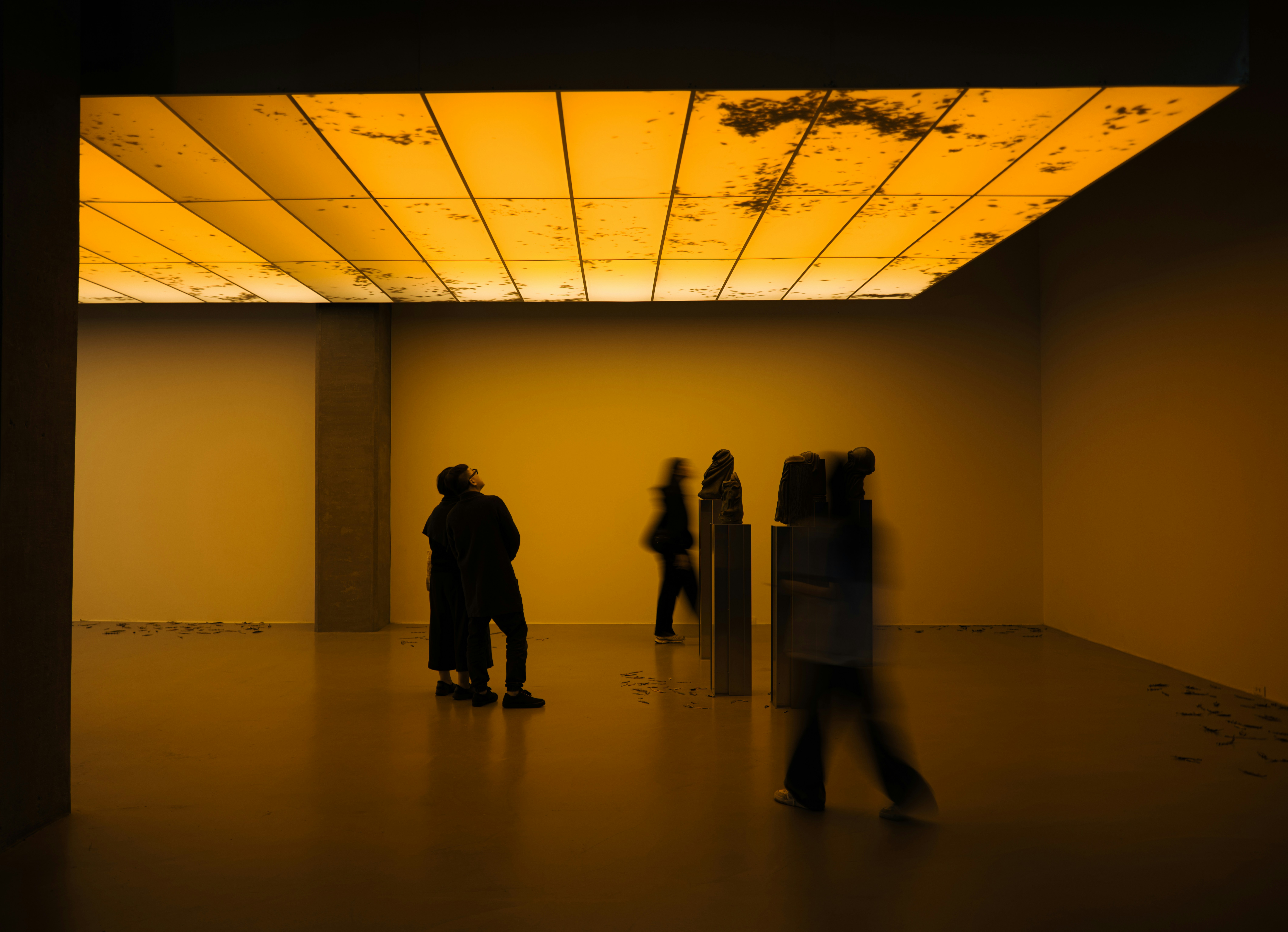 Order Top-Shelf Cannabis Online