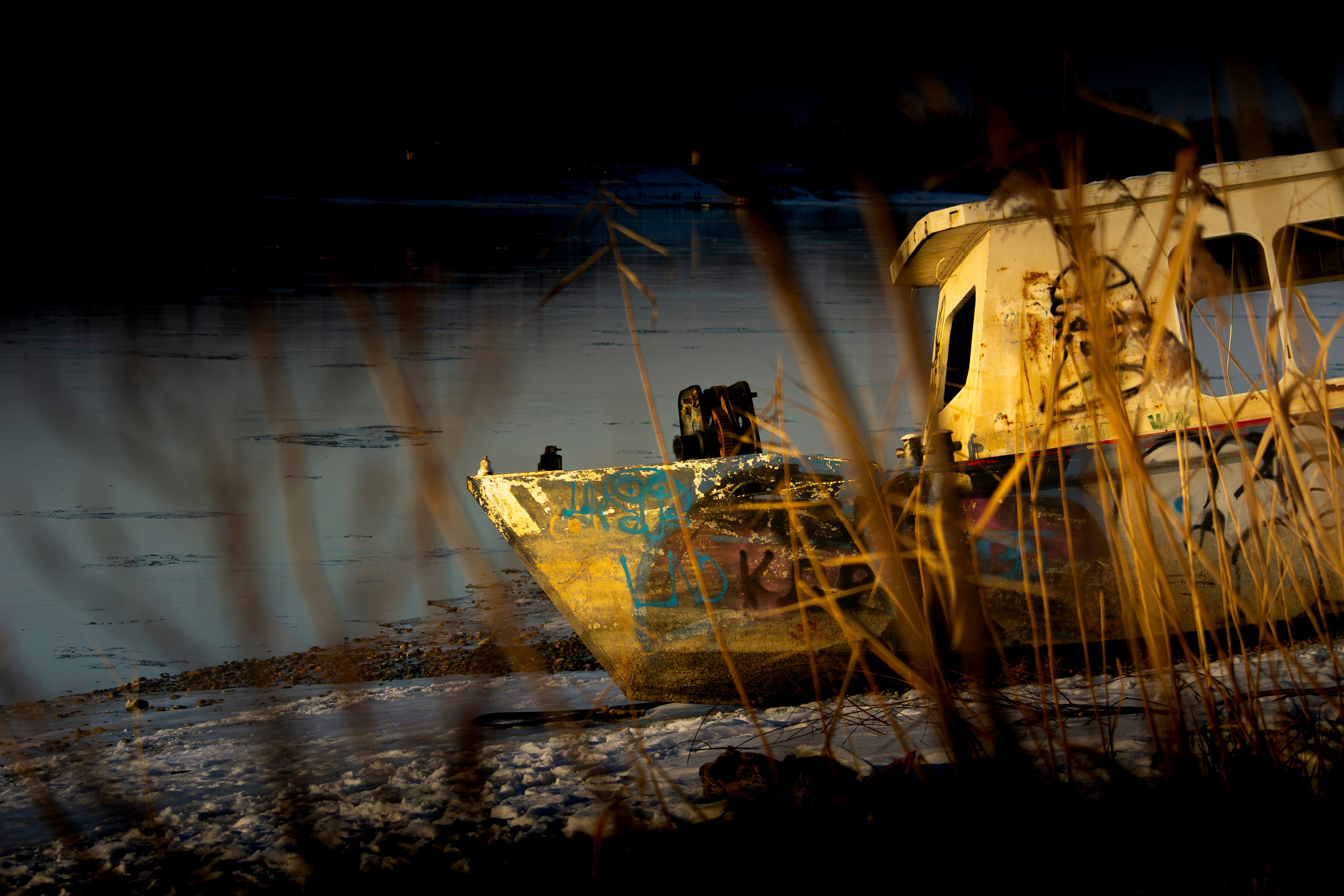 Ancient Trade, Ancient Ecology: What Prehistoric Ivory Networks Teach Us About Human Impacts