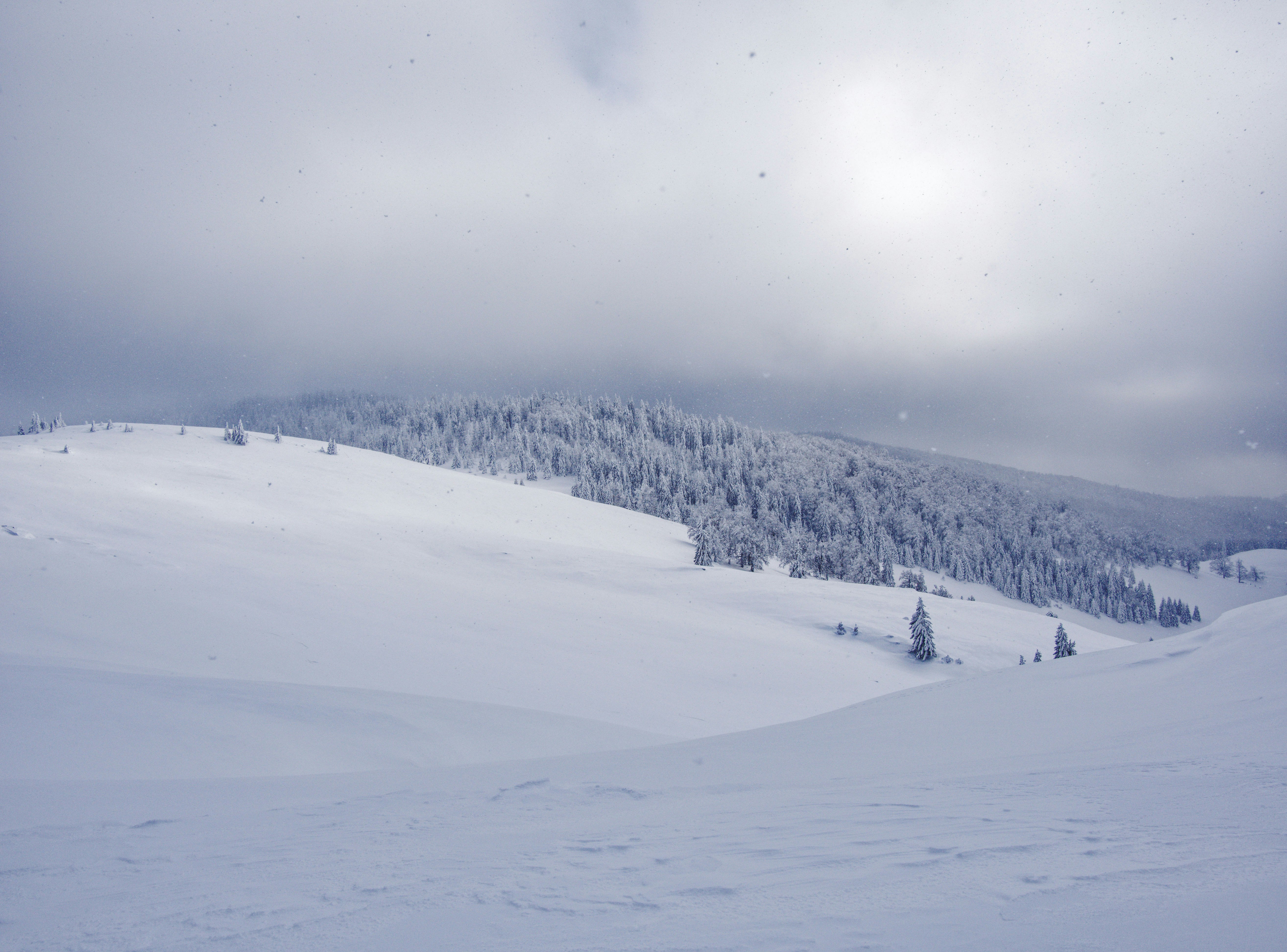 Snowy mountain landscape with trees under cloudy sky