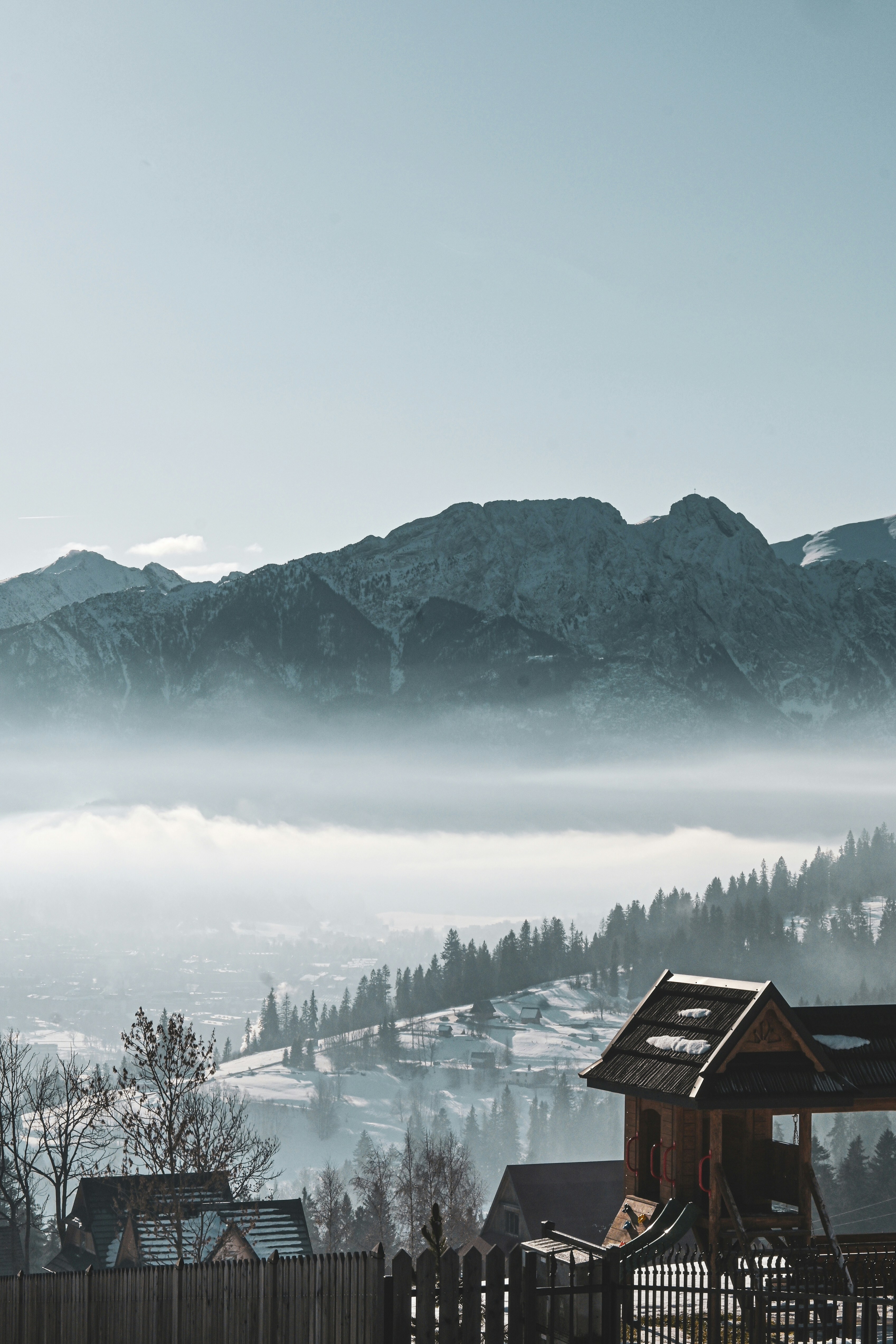 Photo by sylwiabartyzel