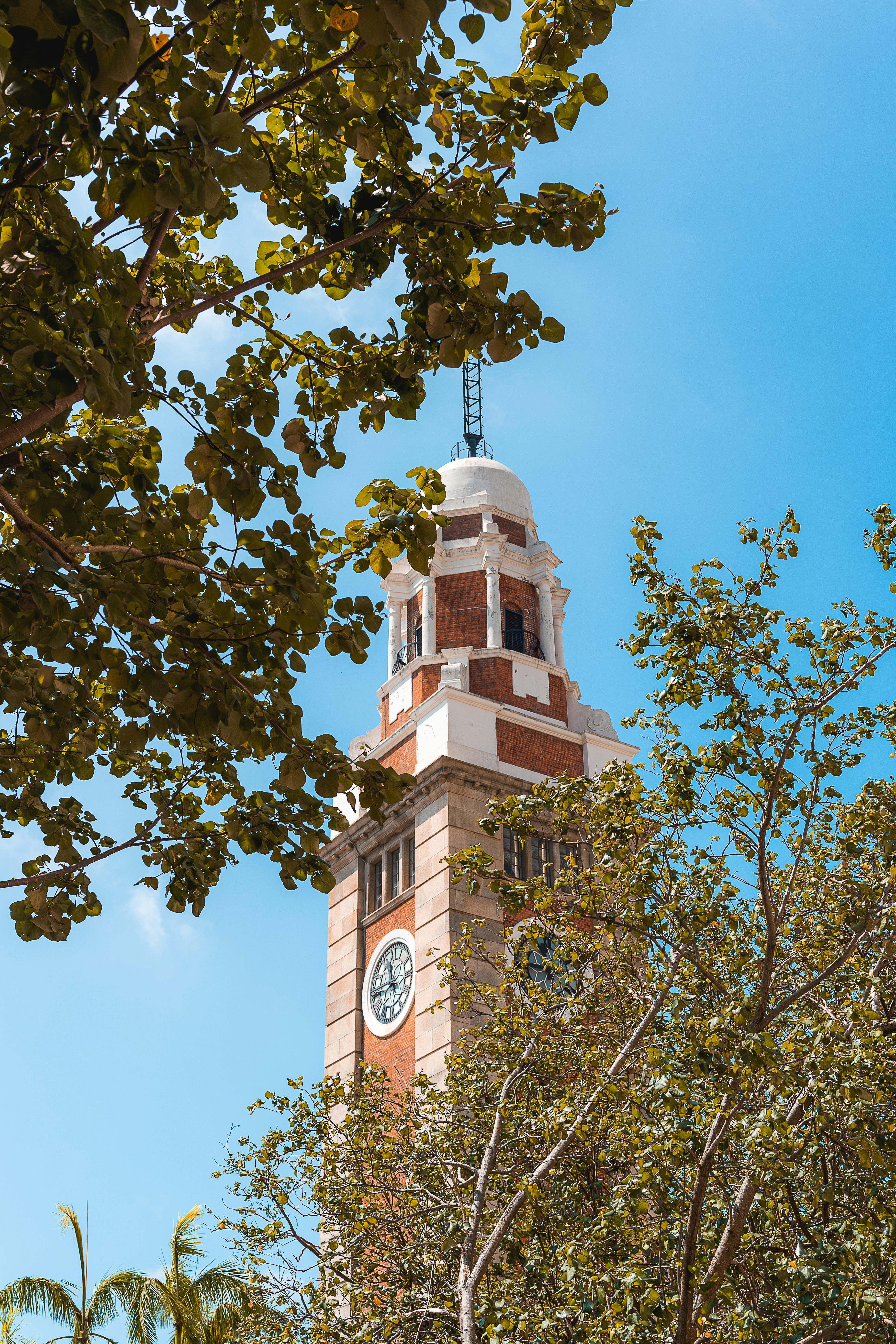 Photo by willianjusten