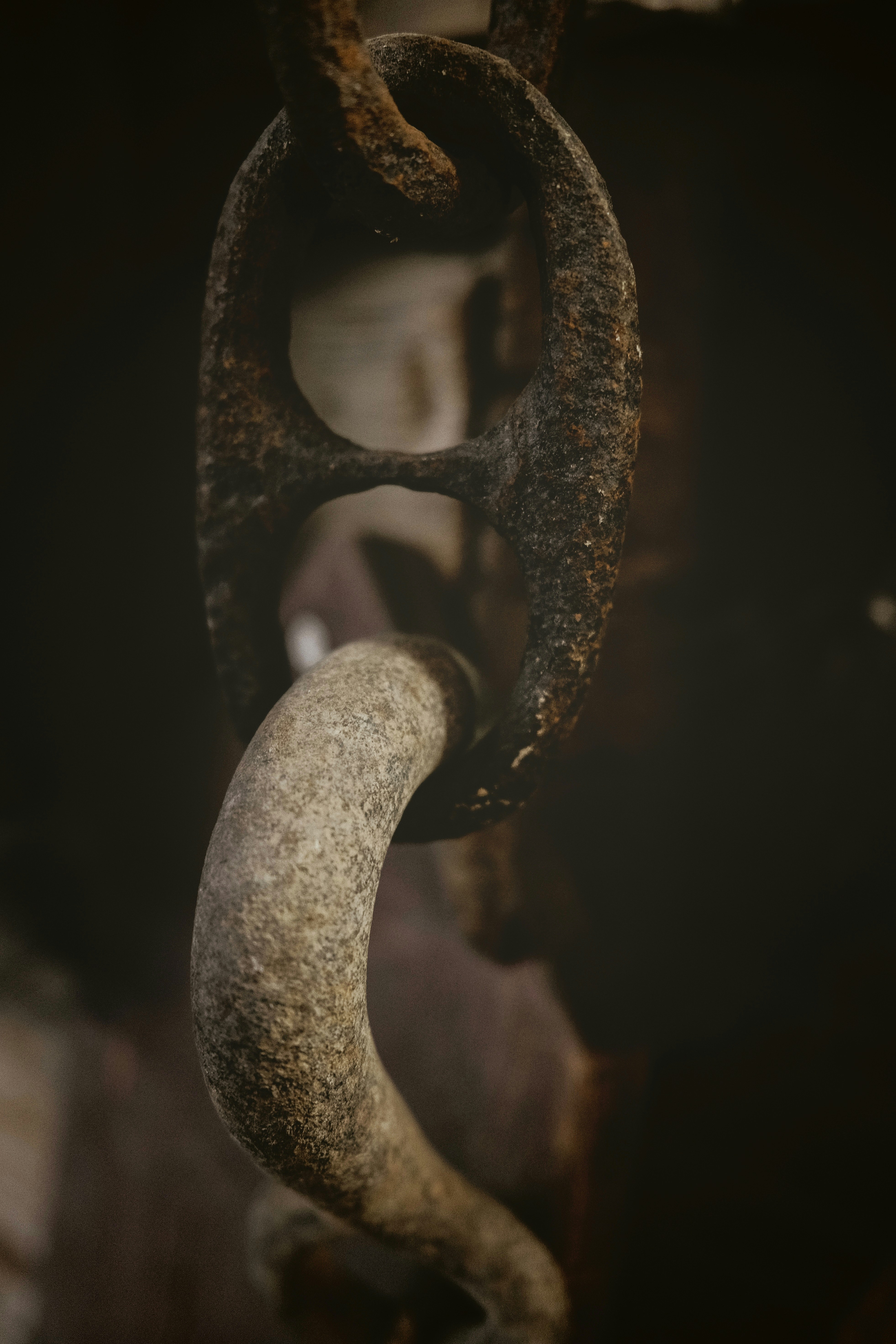 Photo by magnusjonasson