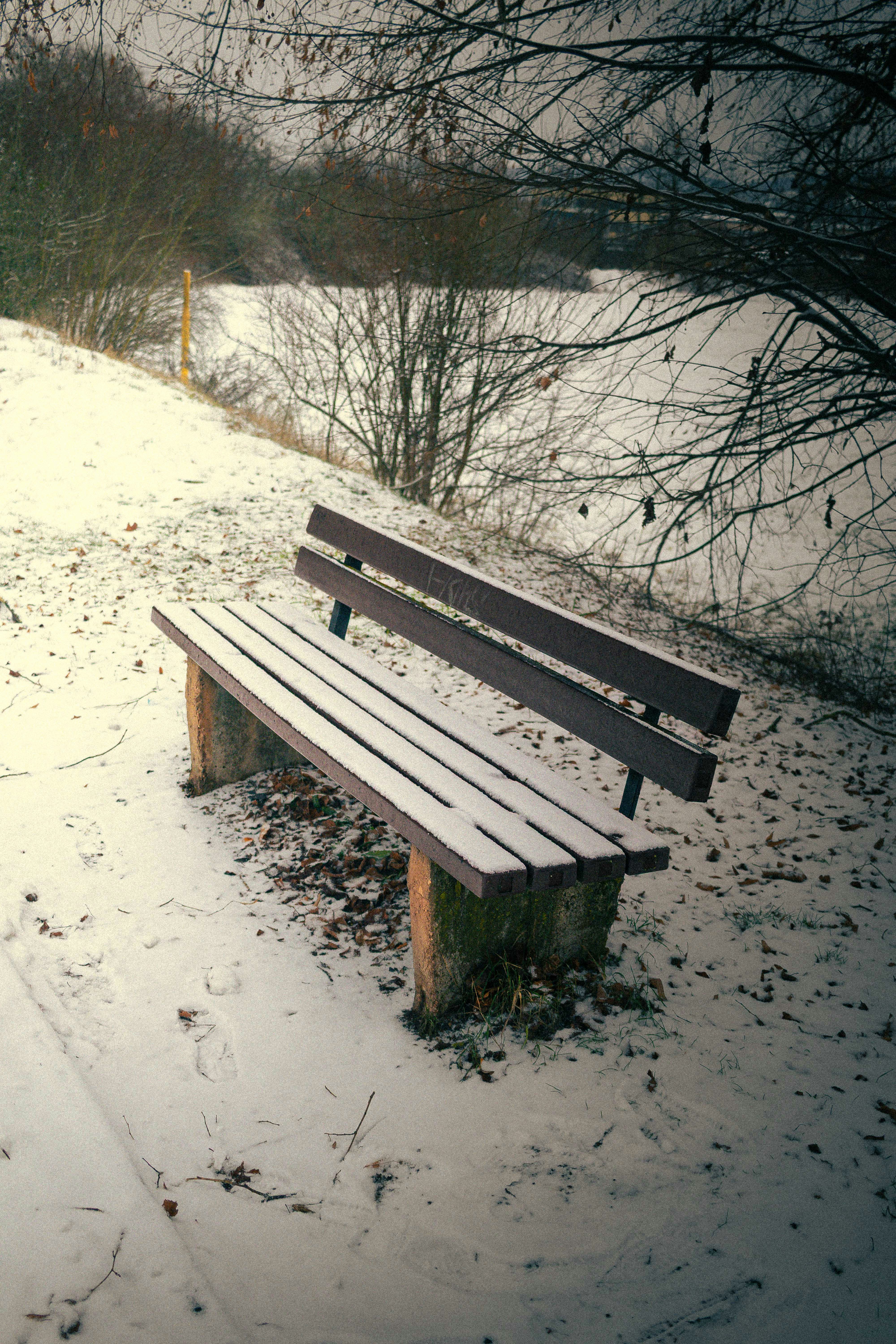 Photo by arlindphotography