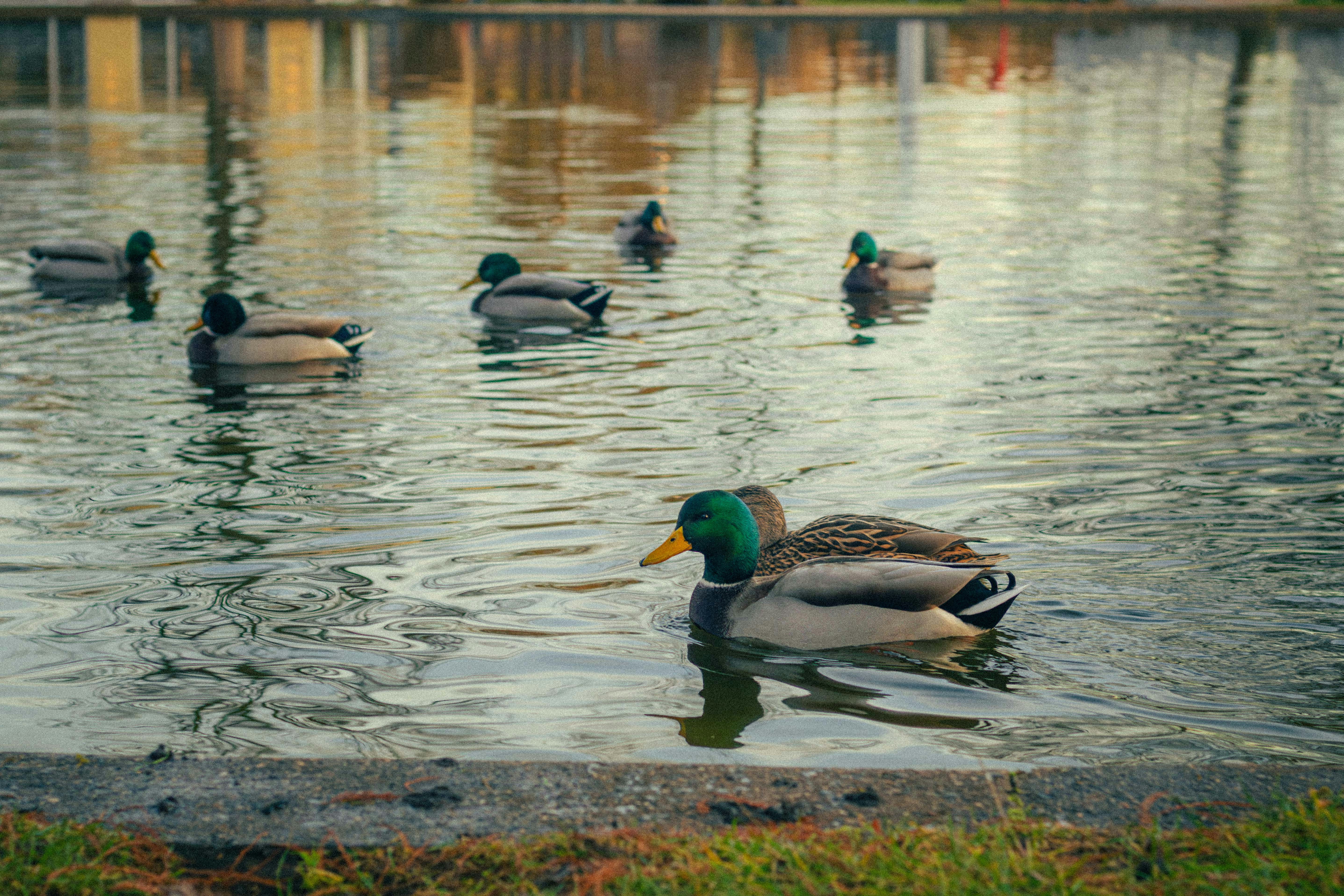 Photo by arlindphotography