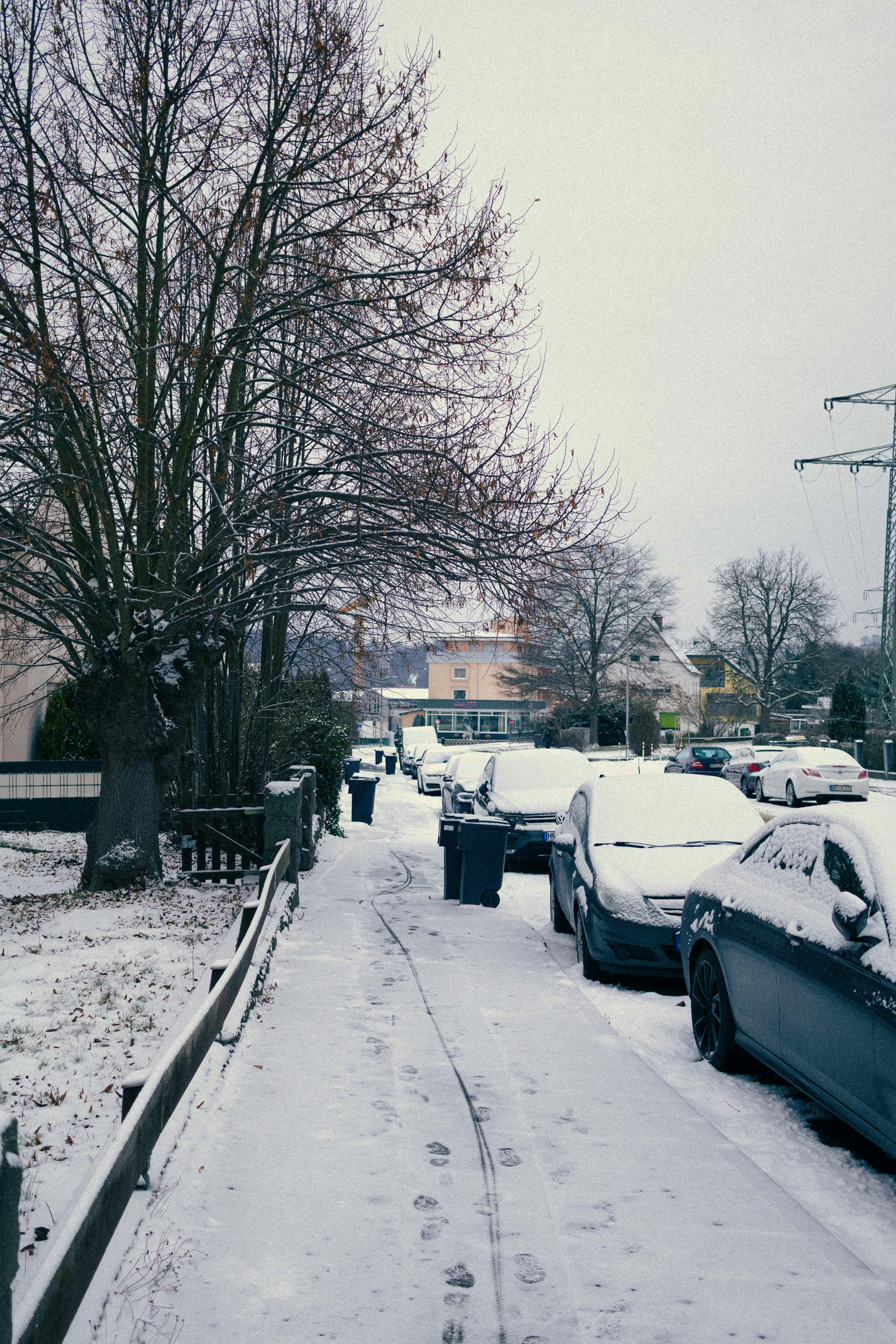 Photo by arlindphotography