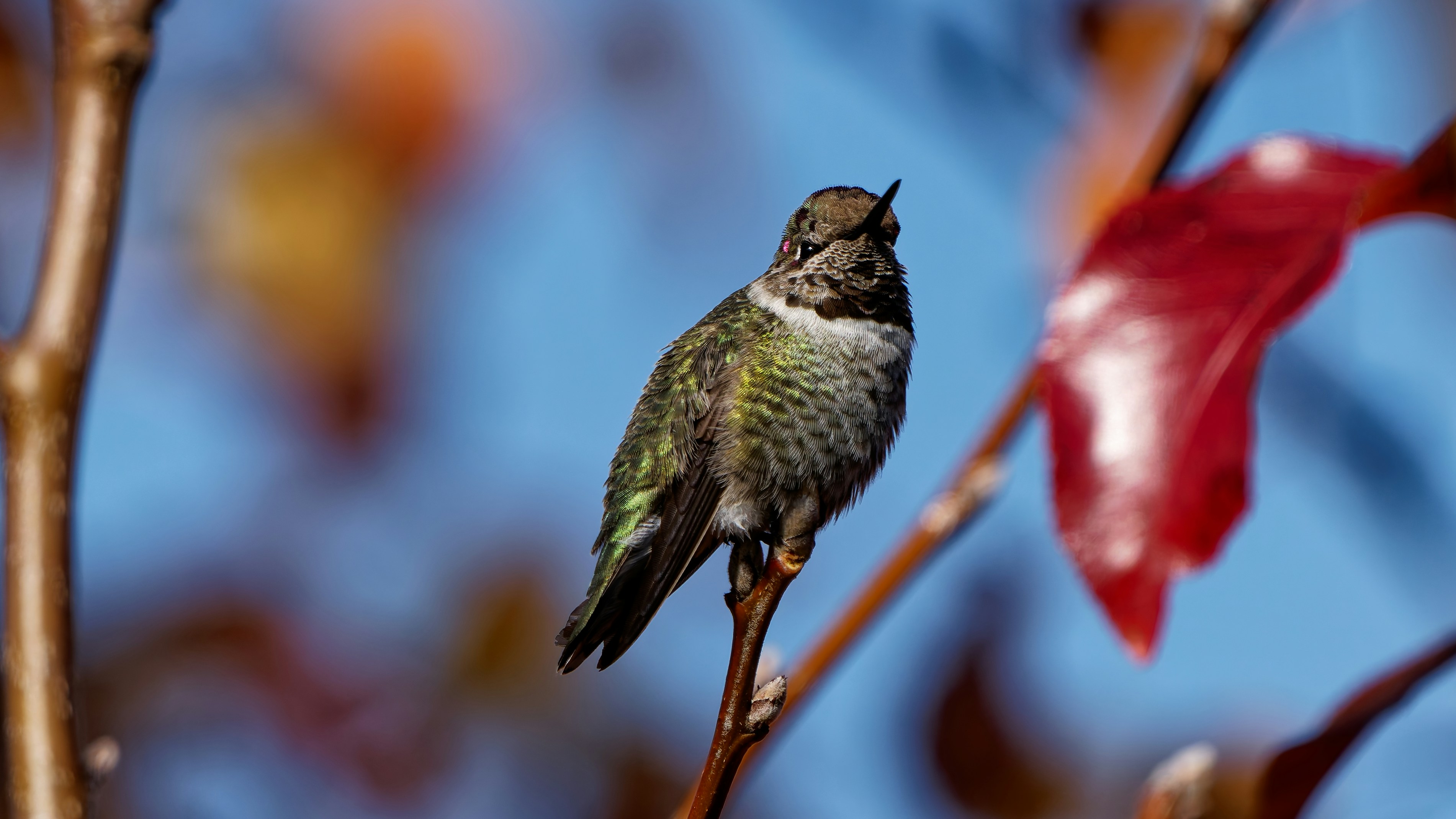 Photo by patrickbigelow_zoom_in