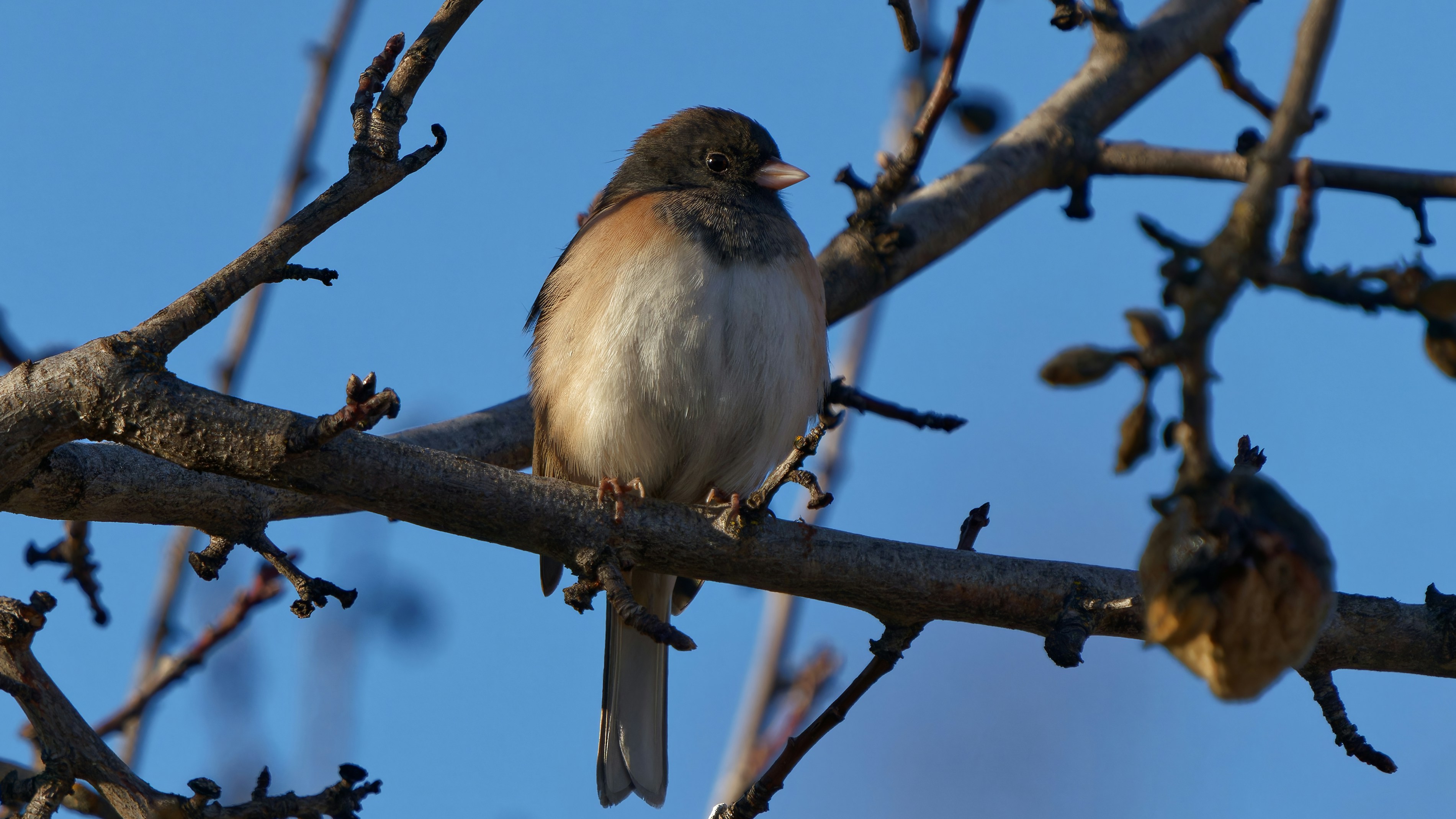 Photo by patrickbigelow_zoom_in