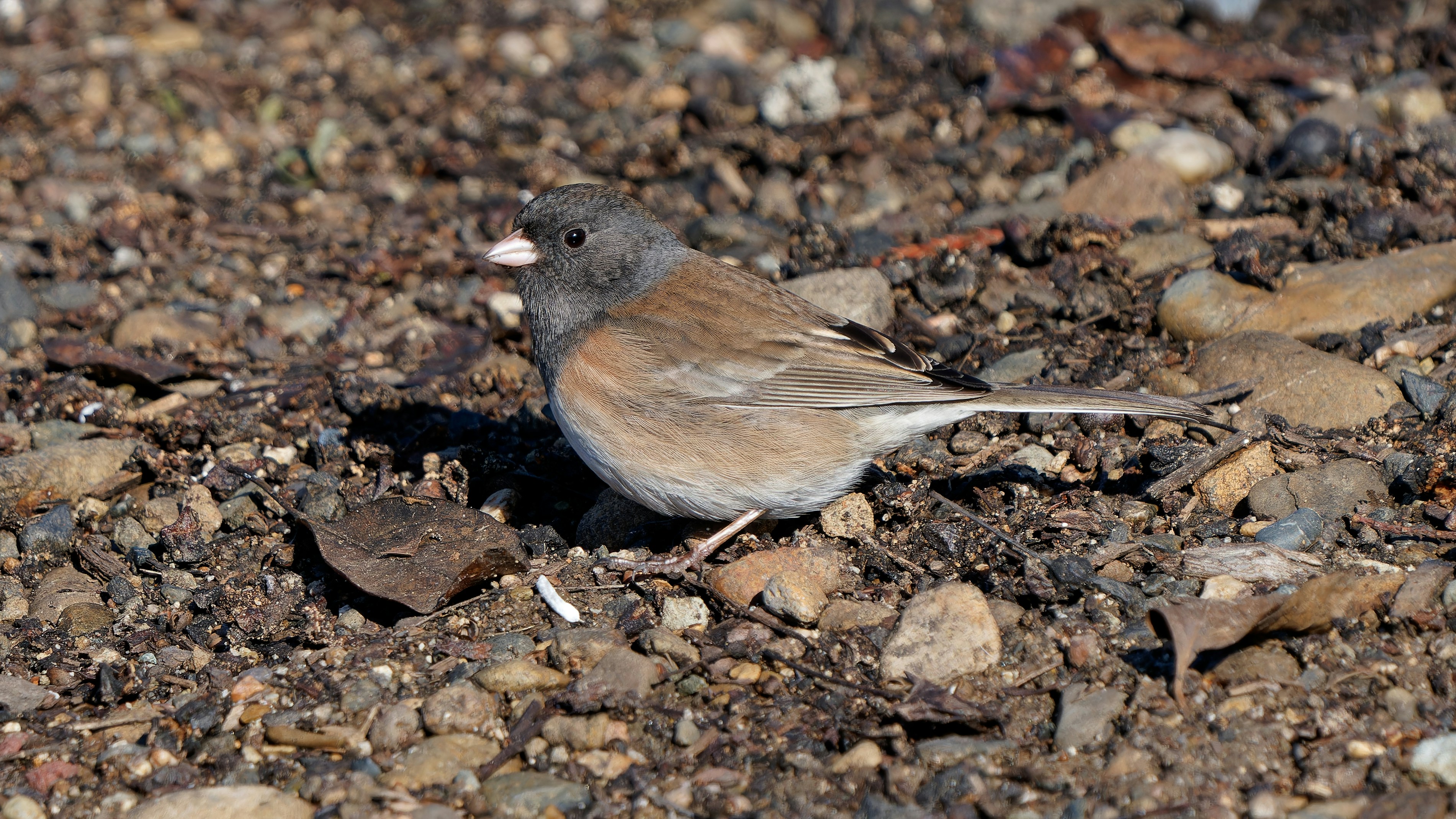 Photo by patrickbigelow_zoom_in