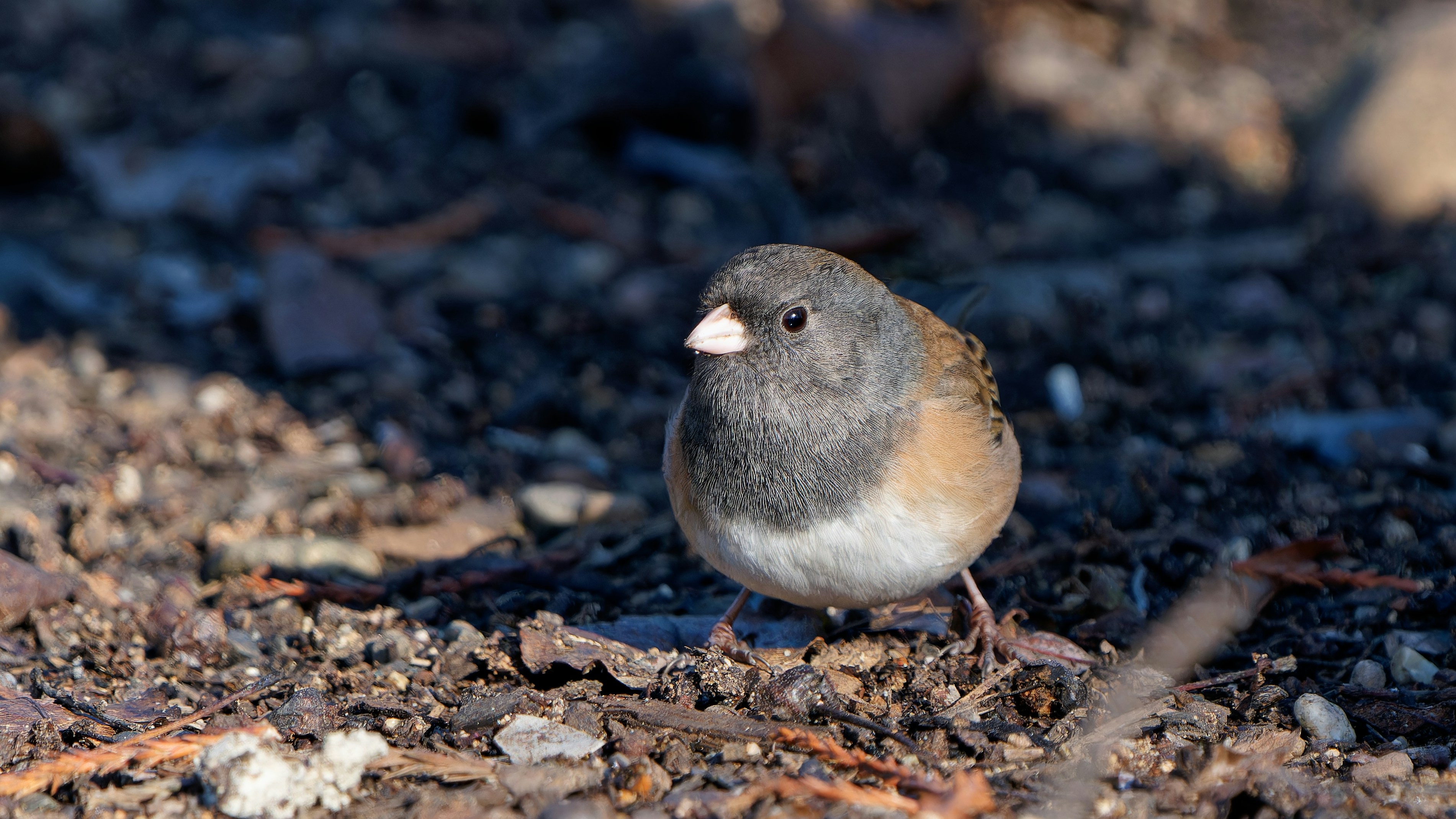 Photo by patrickbigelow_zoom_in